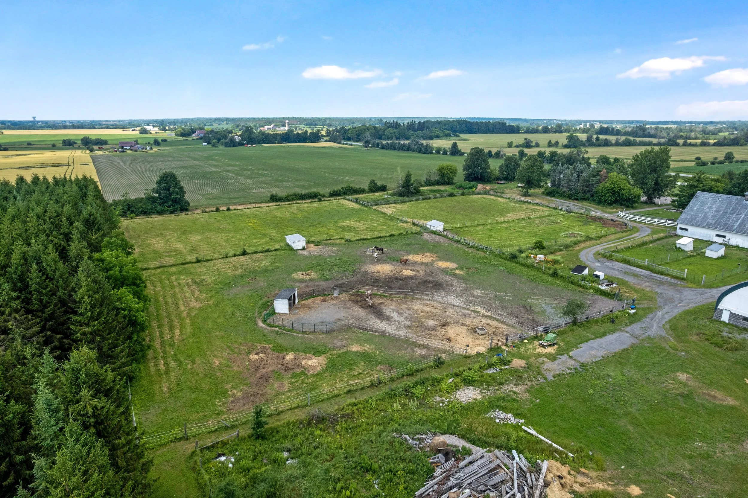 DJI_0161.JPG