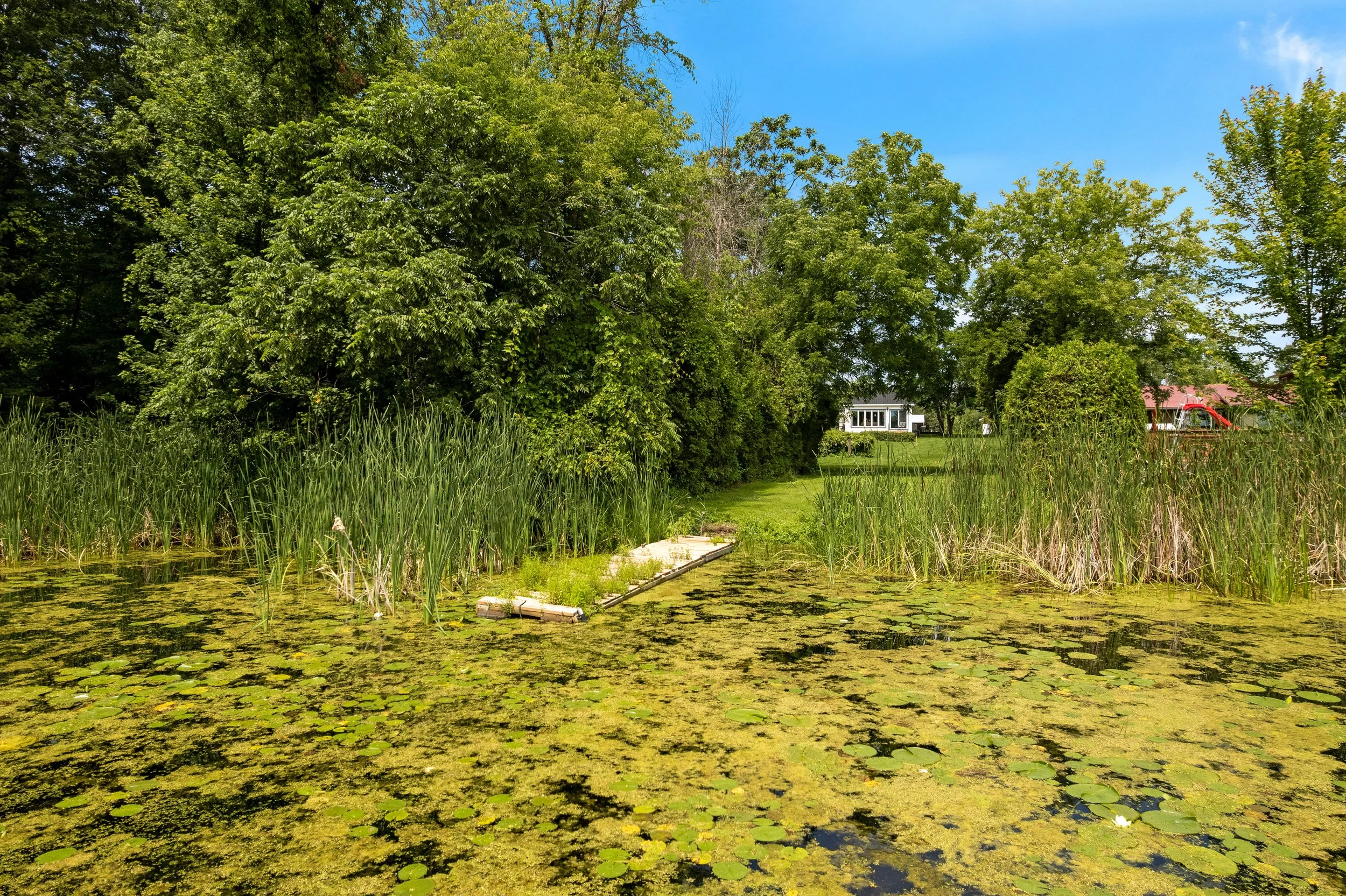 DJI_0186.JPG