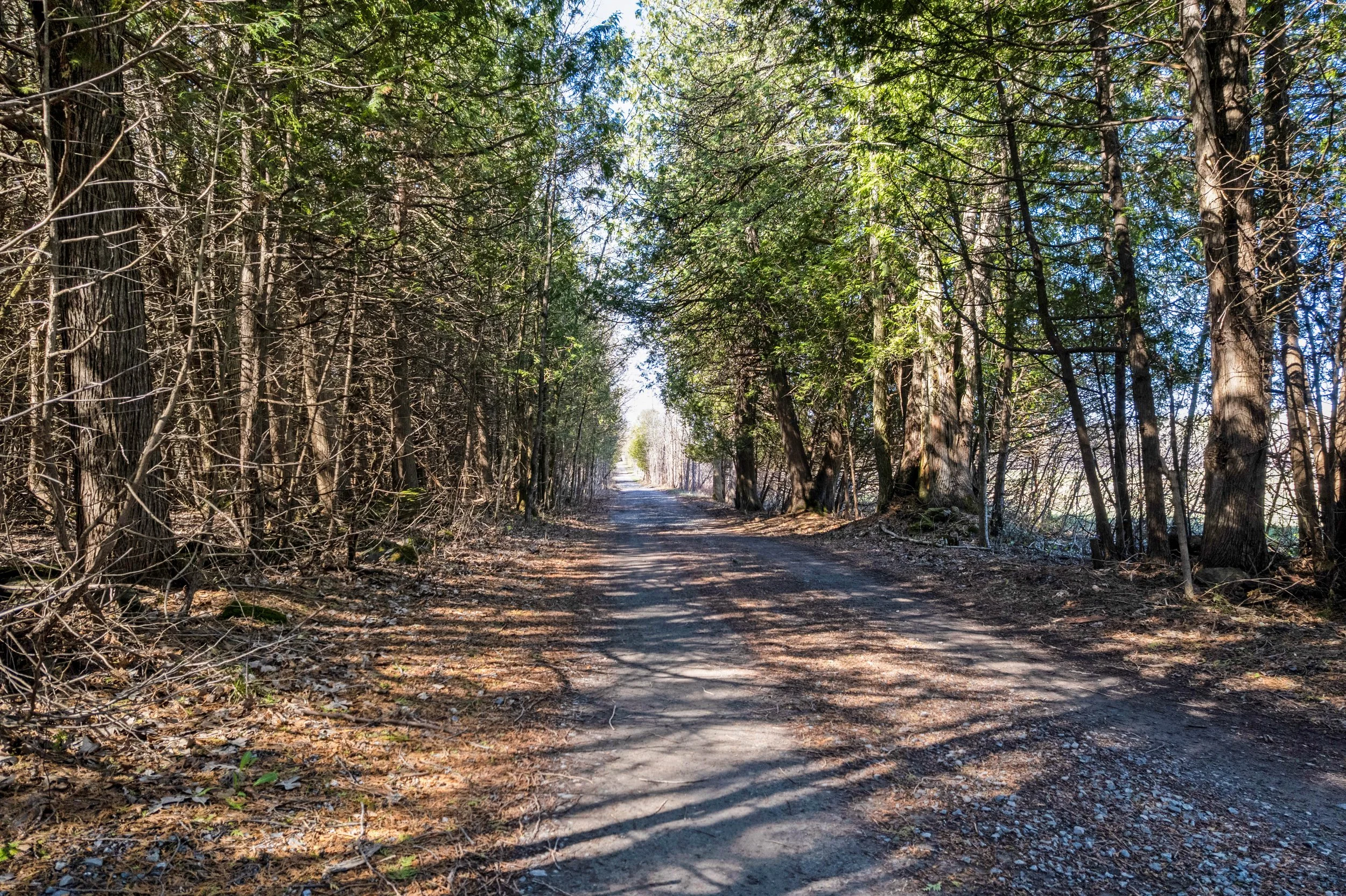 dji_0091-dji_0095 2.JPG