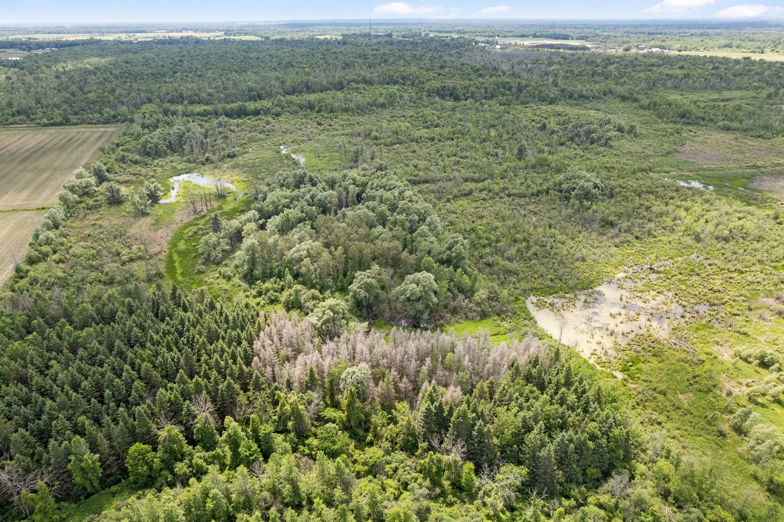 DJI_0041.JPG