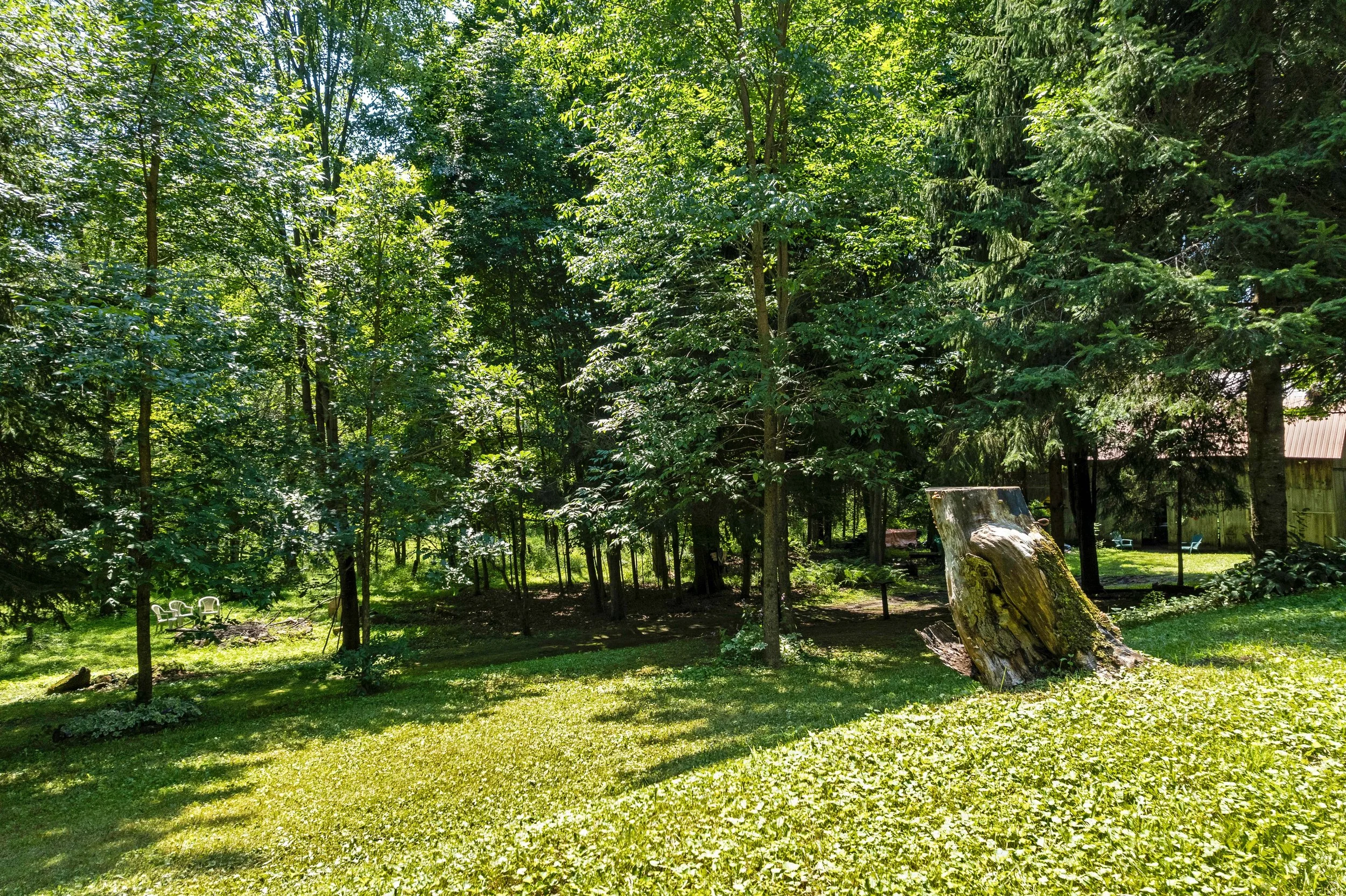 DJI_0301.JPG