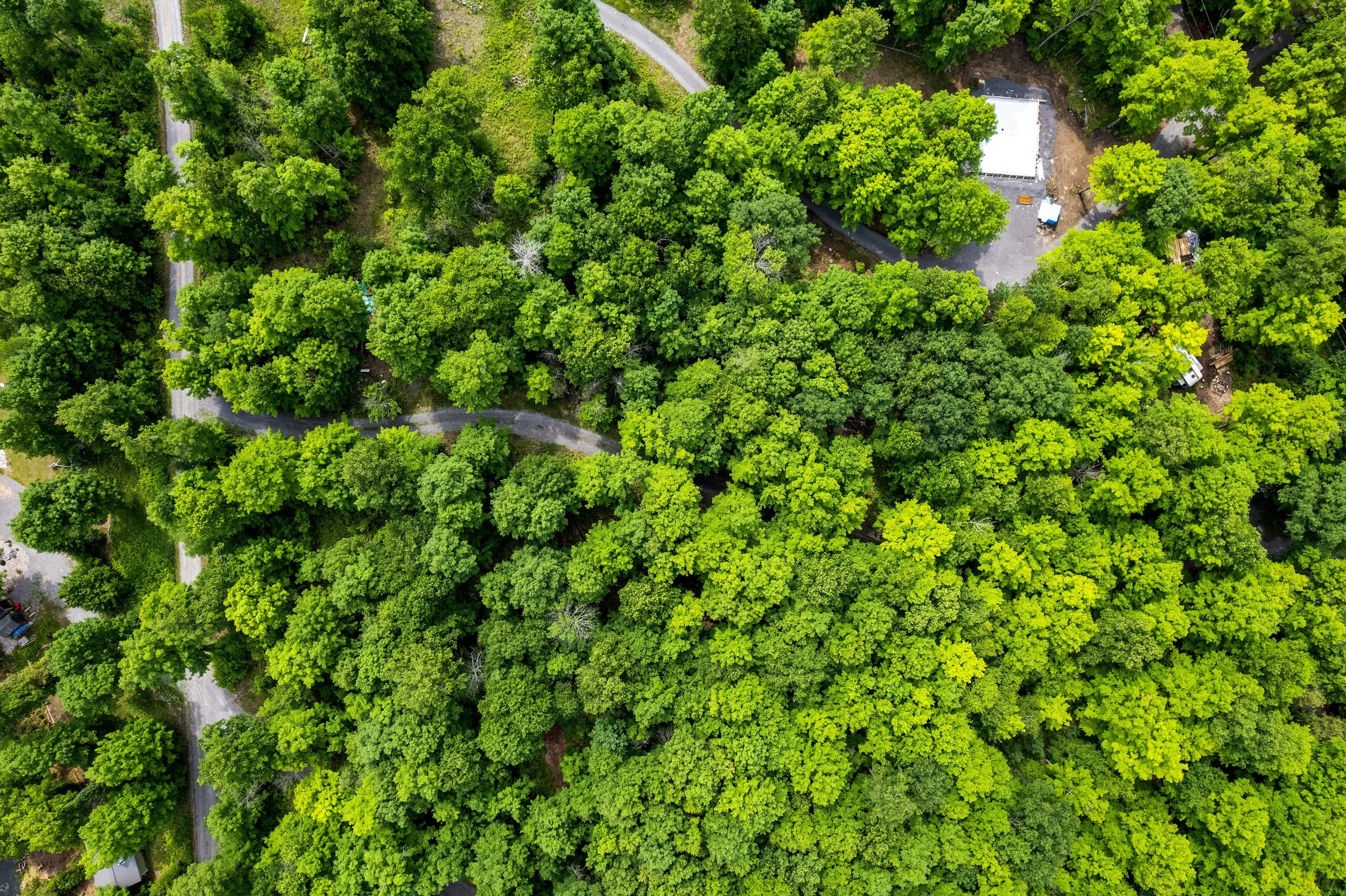 DJI_0016.JPG