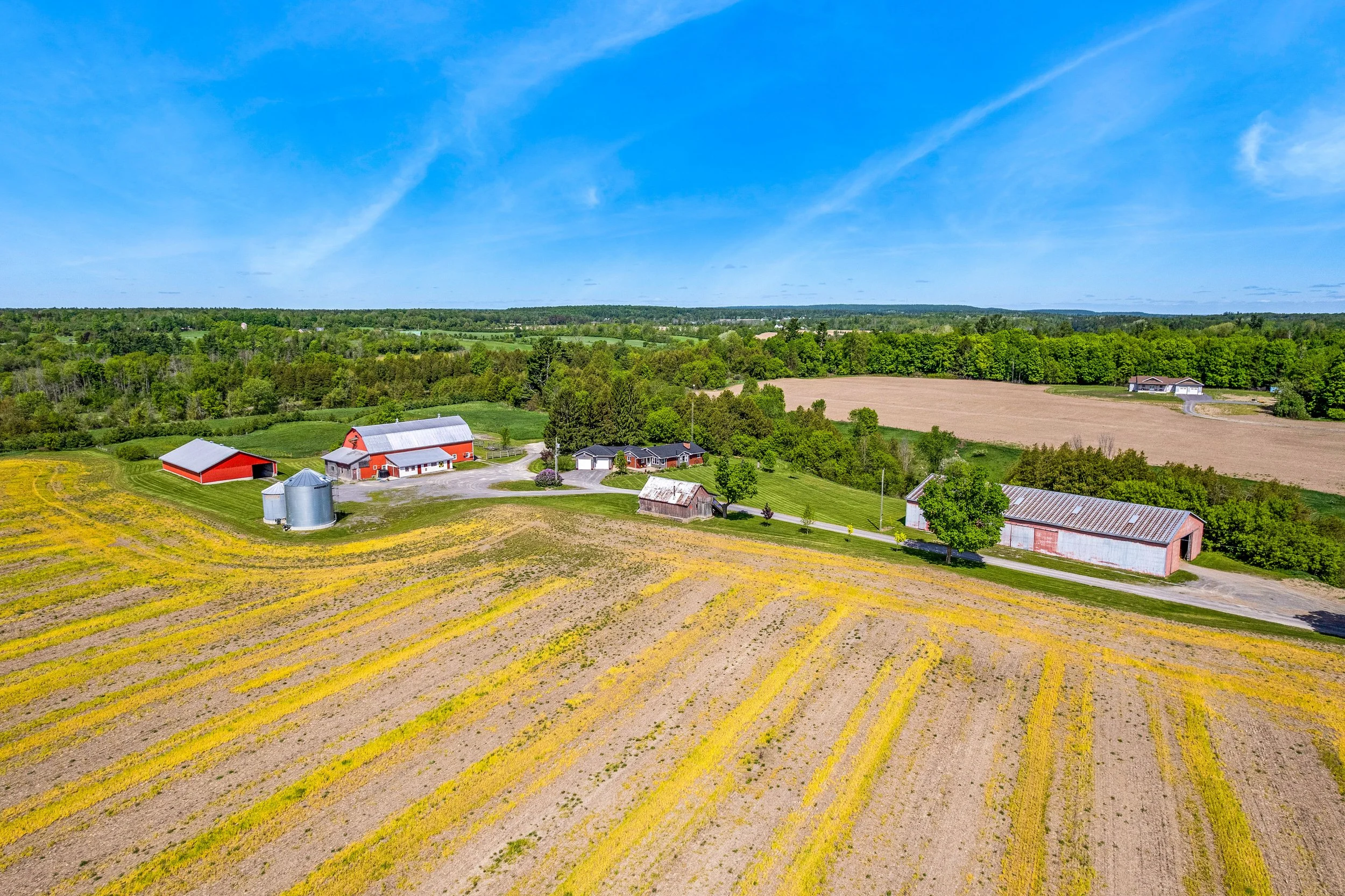 DJI_0161.JPG
