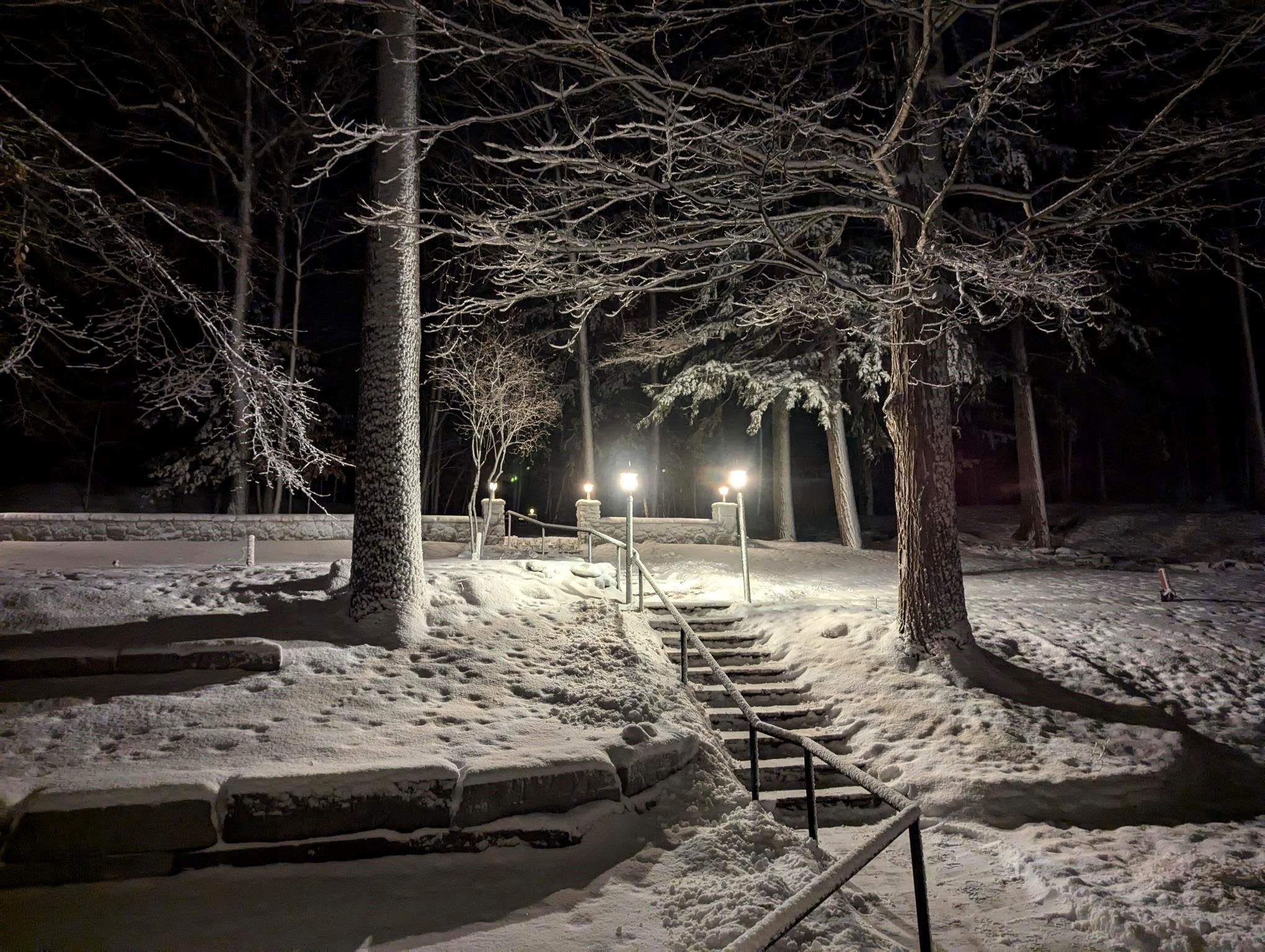 Winter Jan 2025.jpg