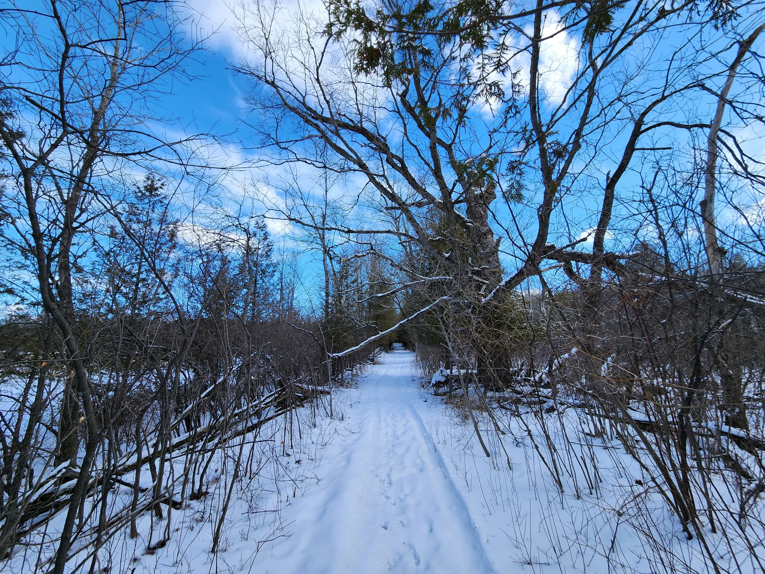 20260323_114337.jpg