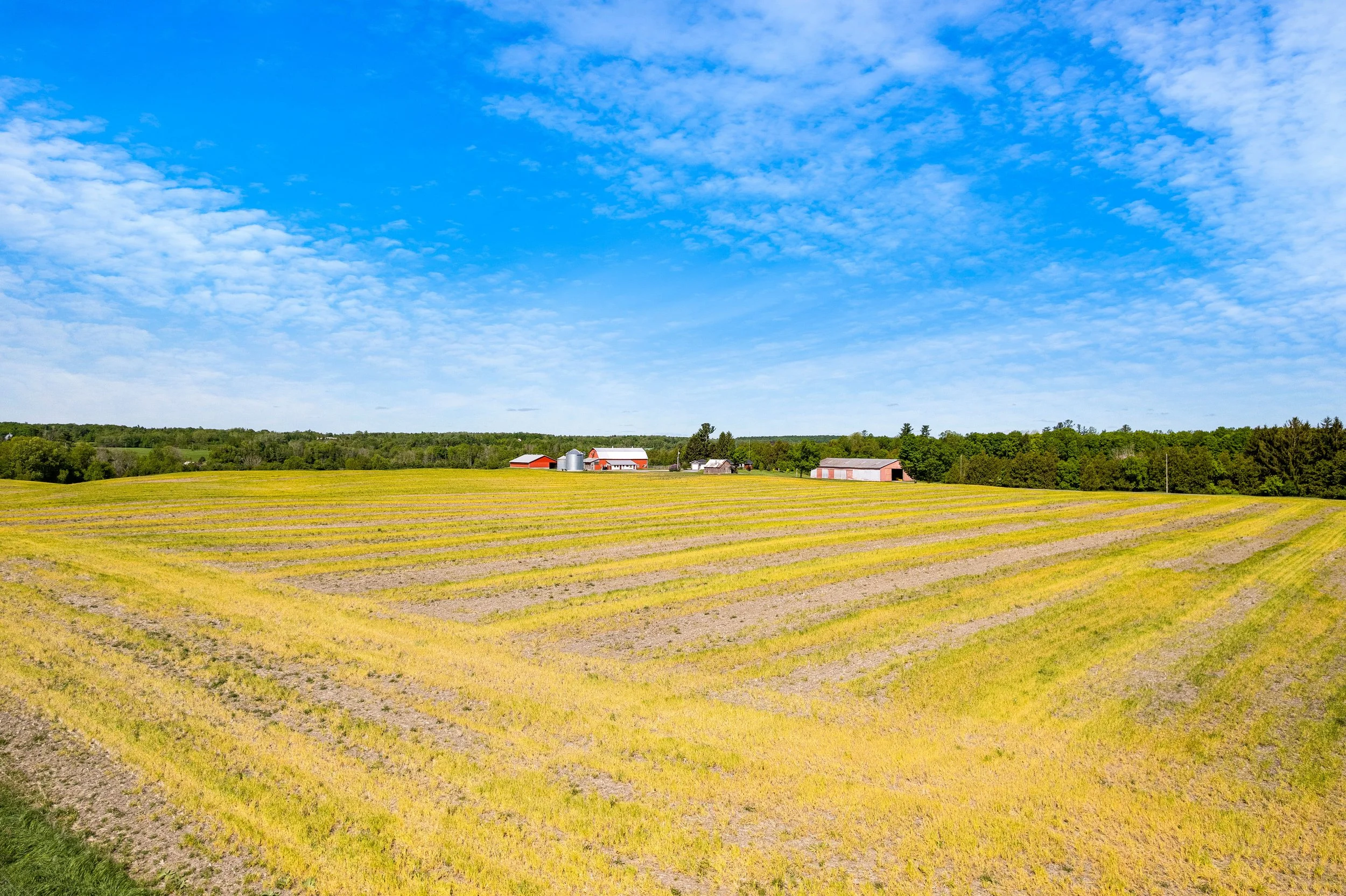 DJI_0056.JPG