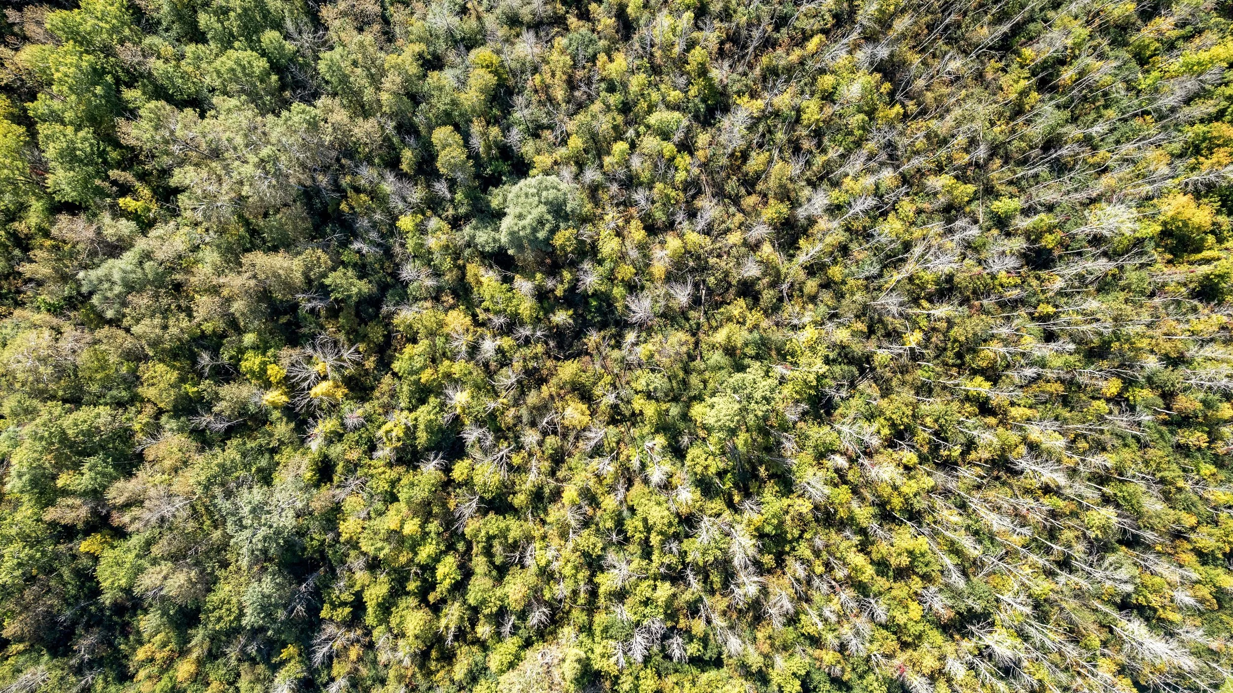 DJI_0038.JPG