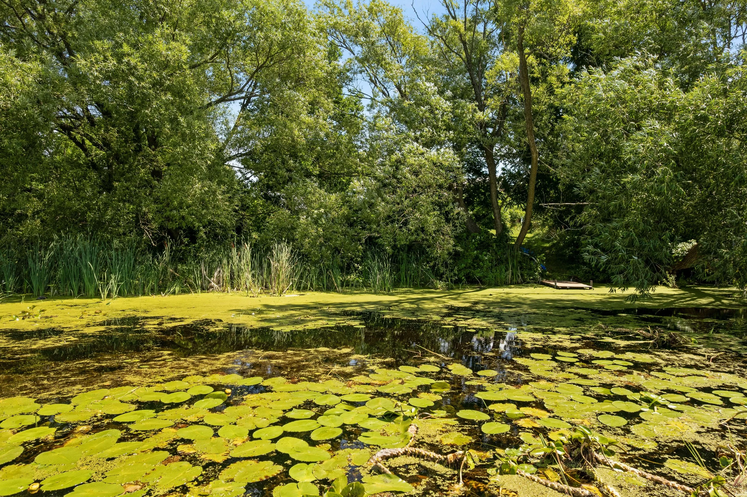 DJI_0238.JPG