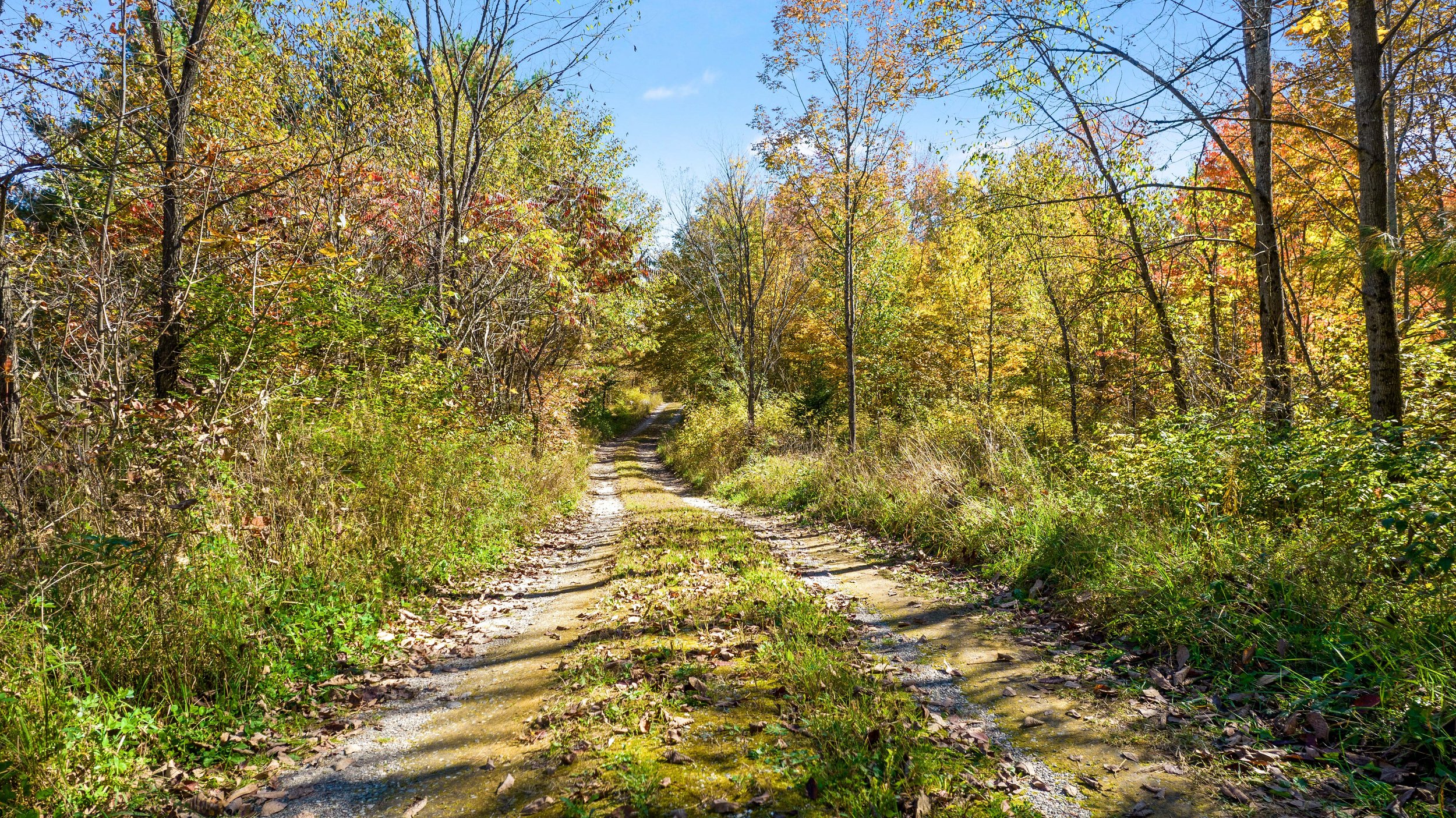 DJI_0223.JPG