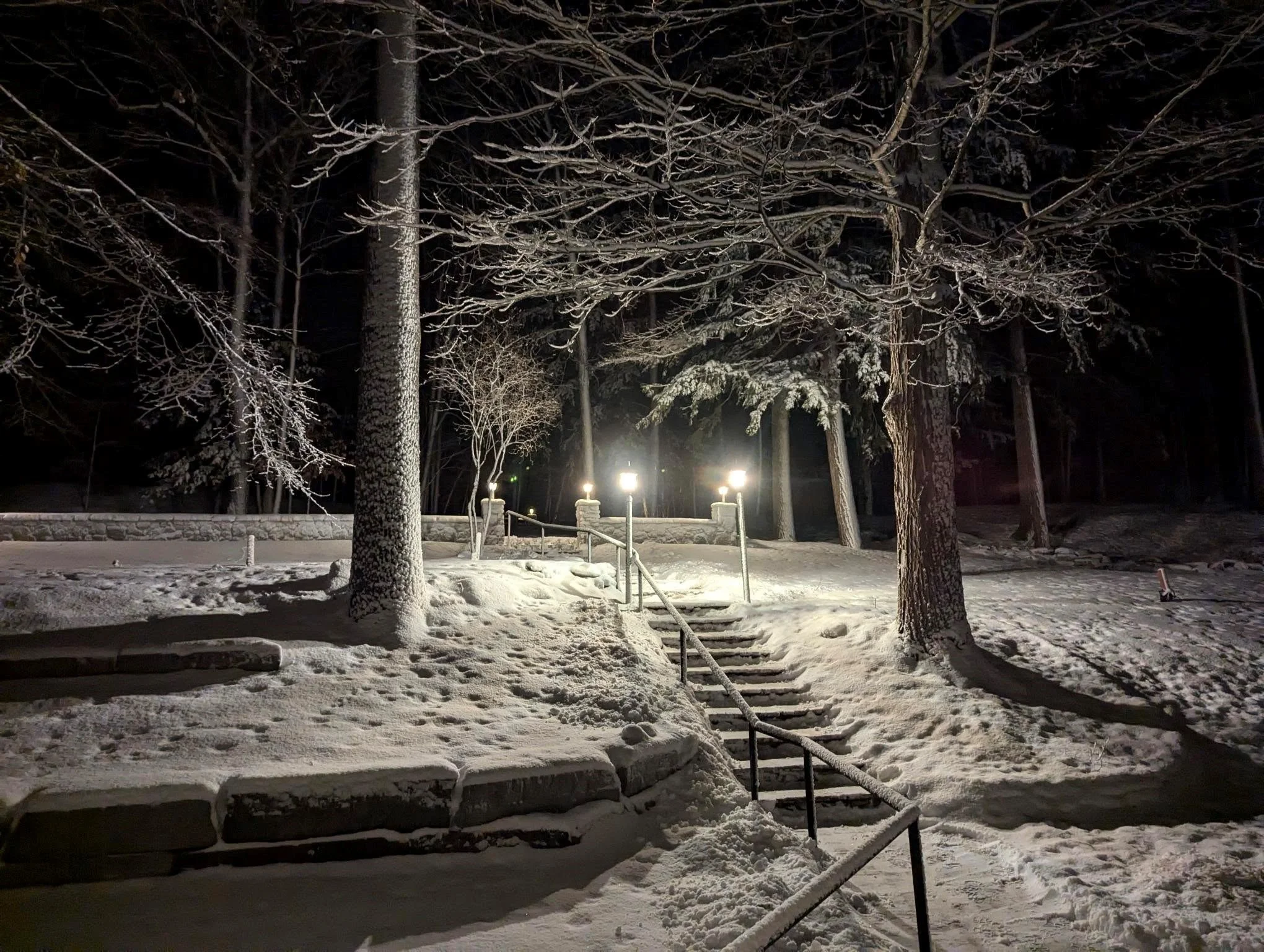 Winter Jan 2025.jpg