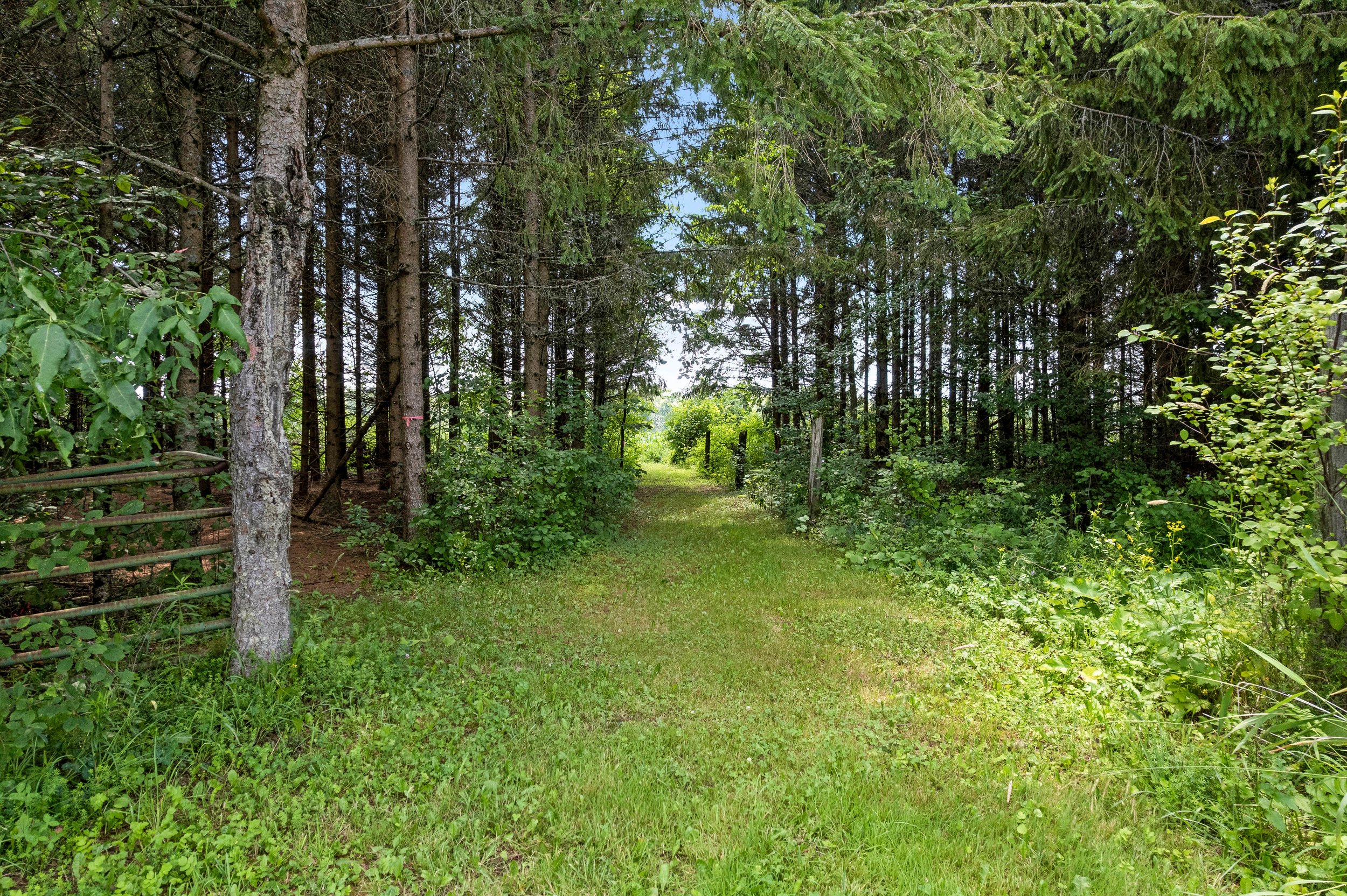DJI_0141.JPG