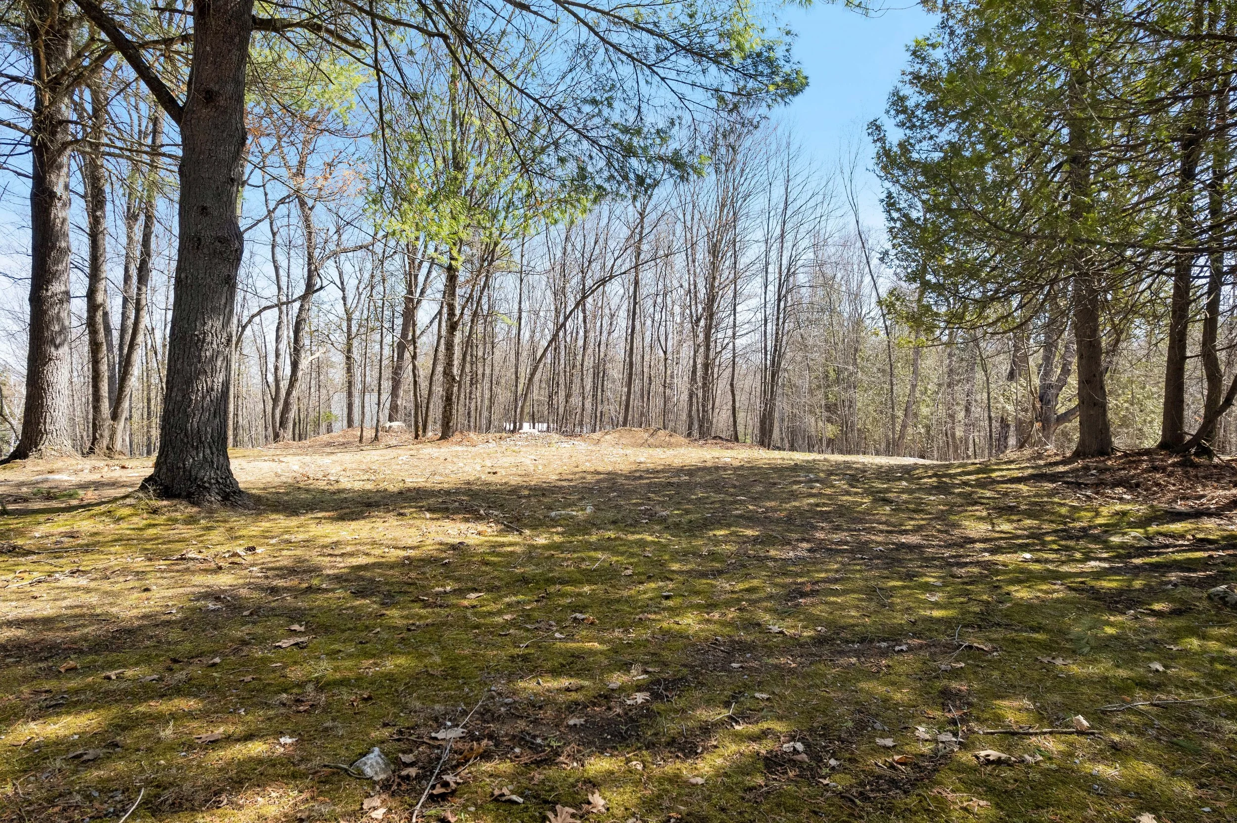 DJI_0224.JPG
