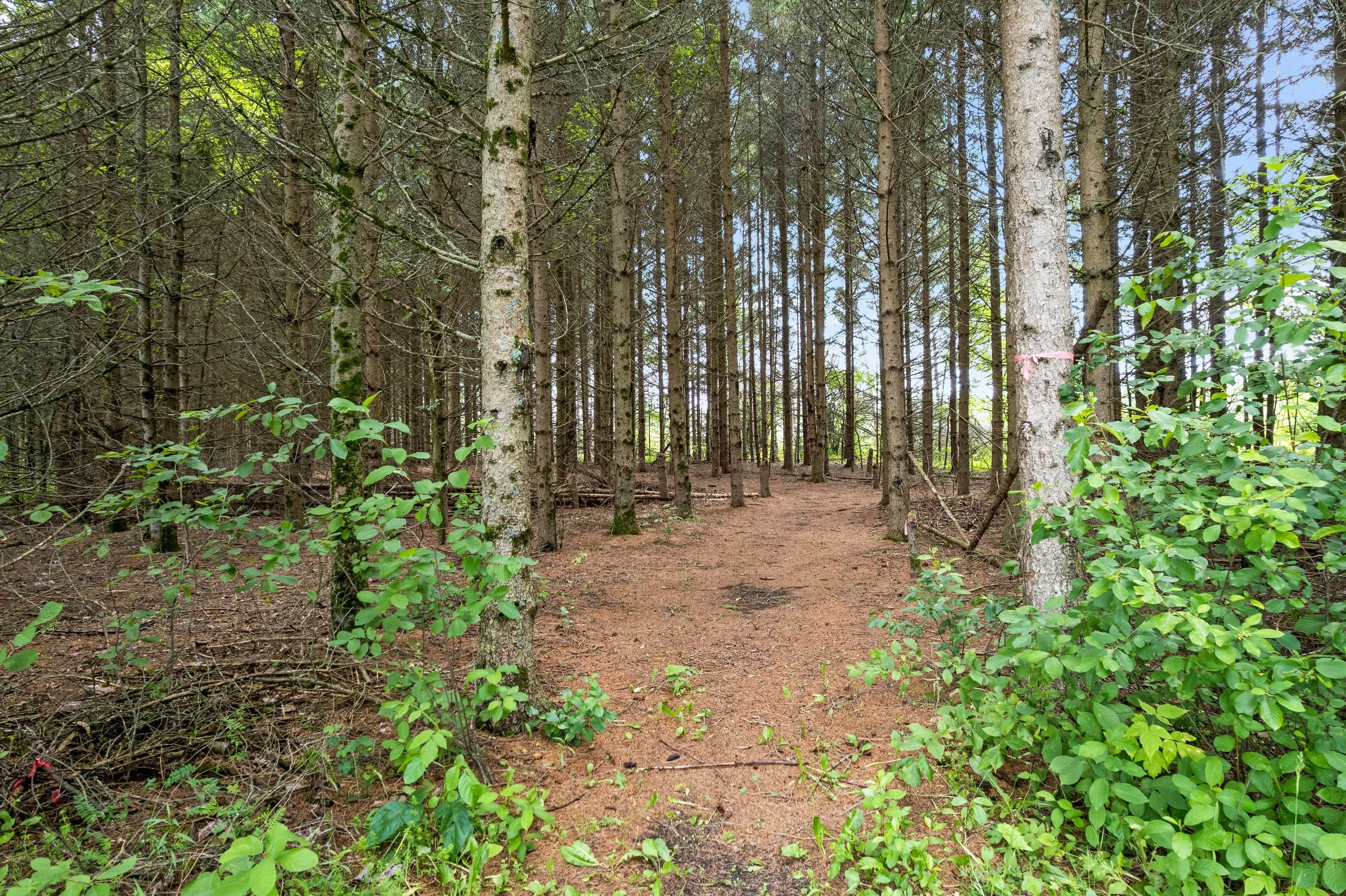 DJI_0150.JPG