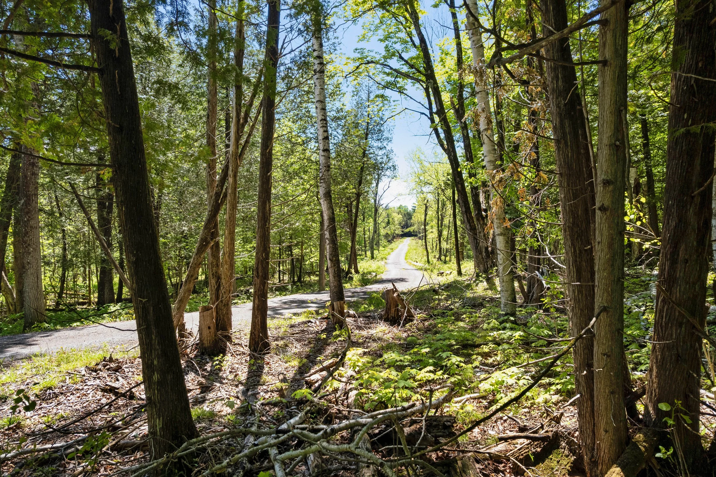 DJI_0339.JPG