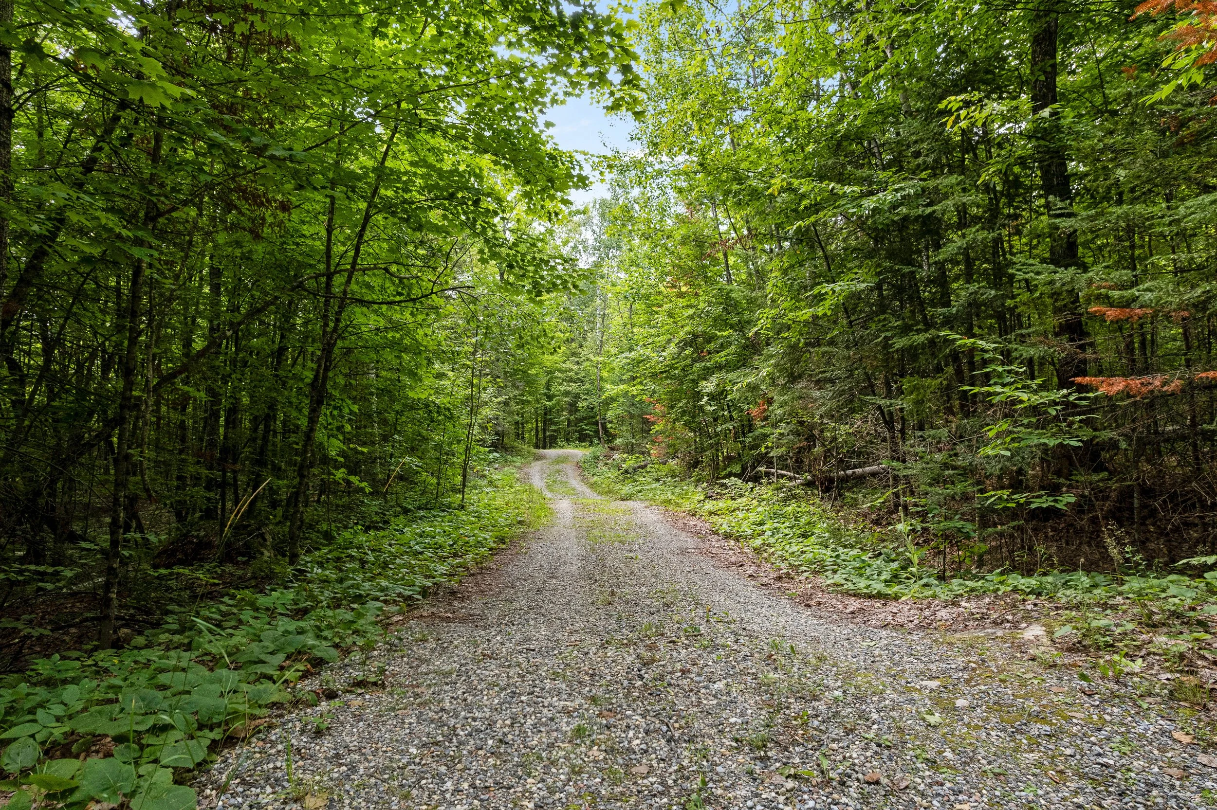 DJI_0011.JPG
