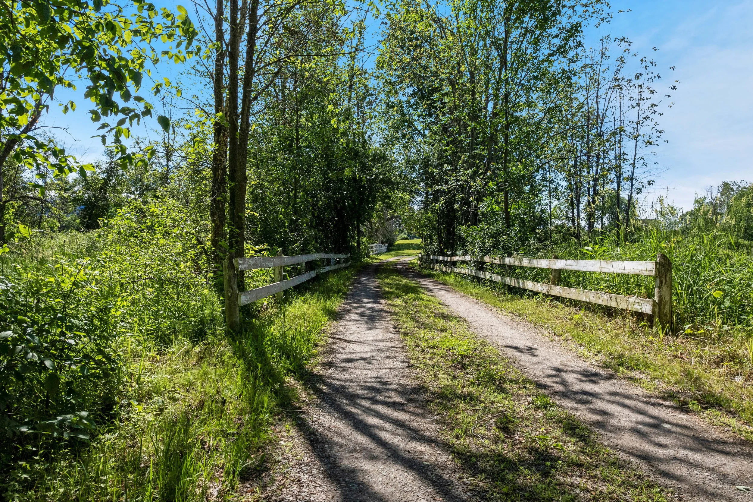 DJI_0026.JPG