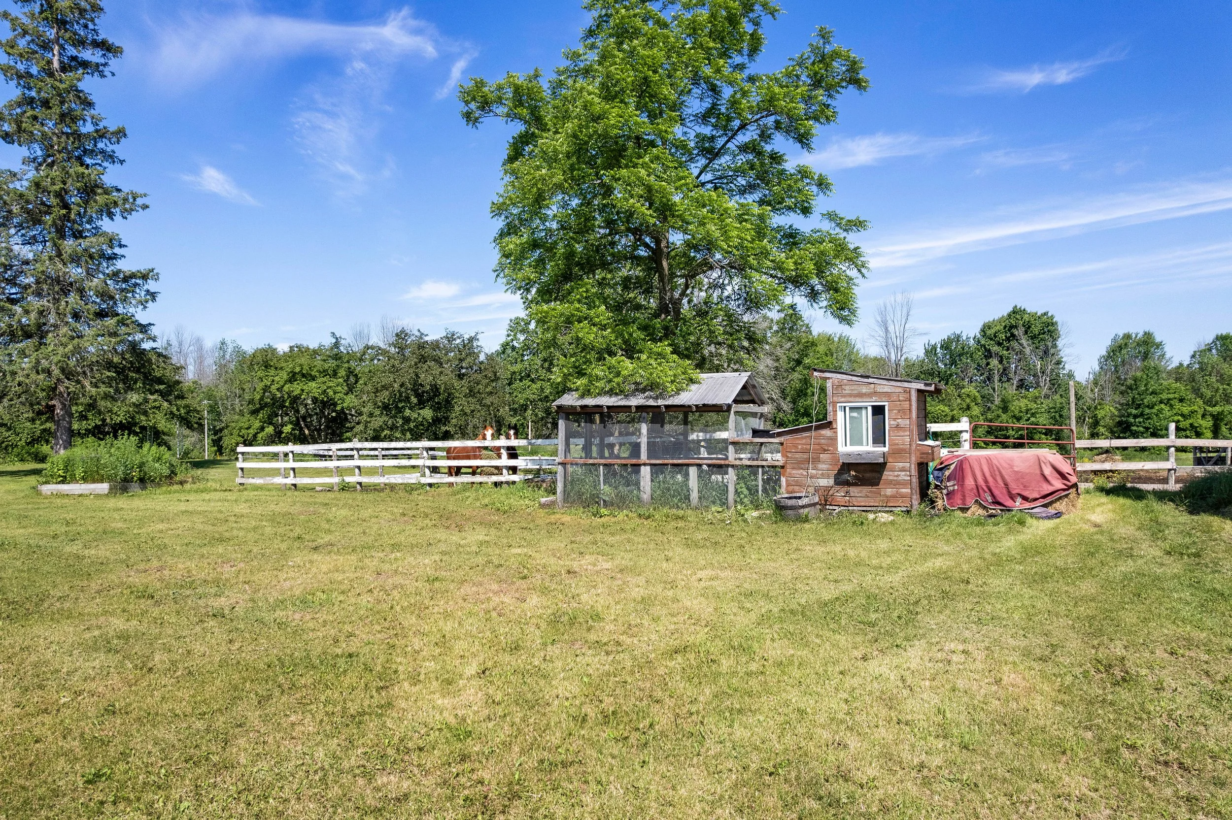 DJI_0221.JPG