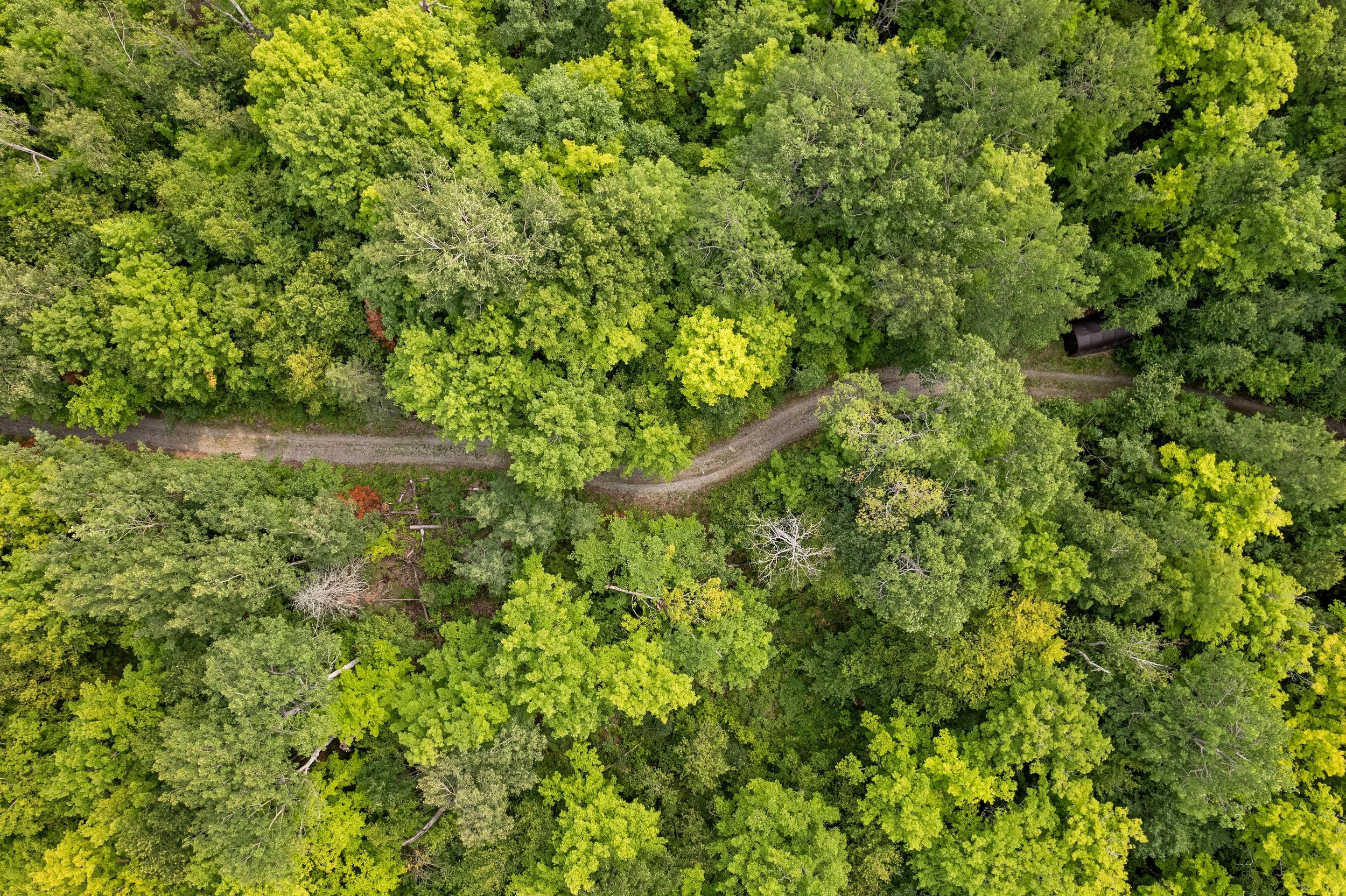 DJI_0071.JPG