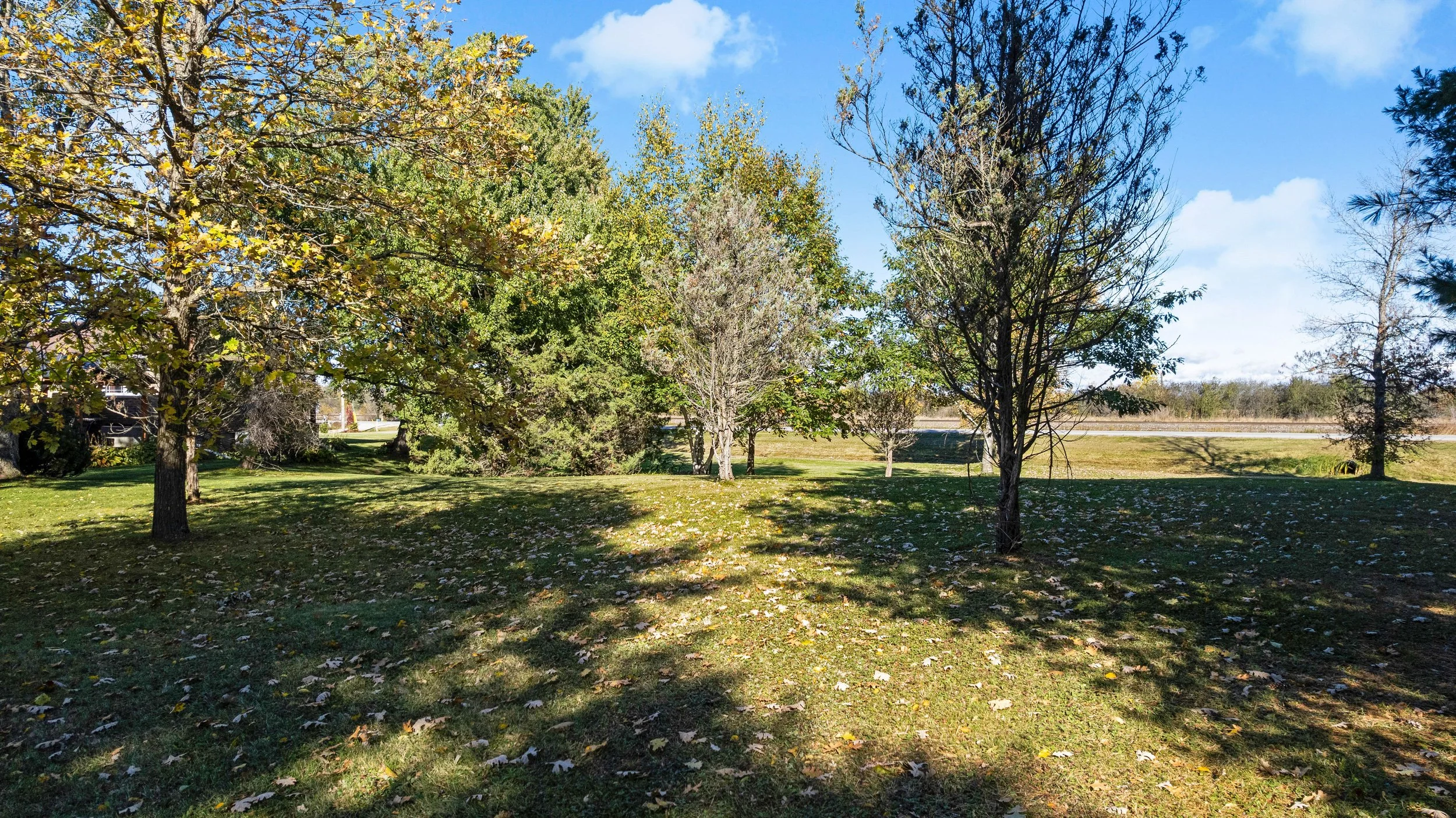DJI_0101.JPG