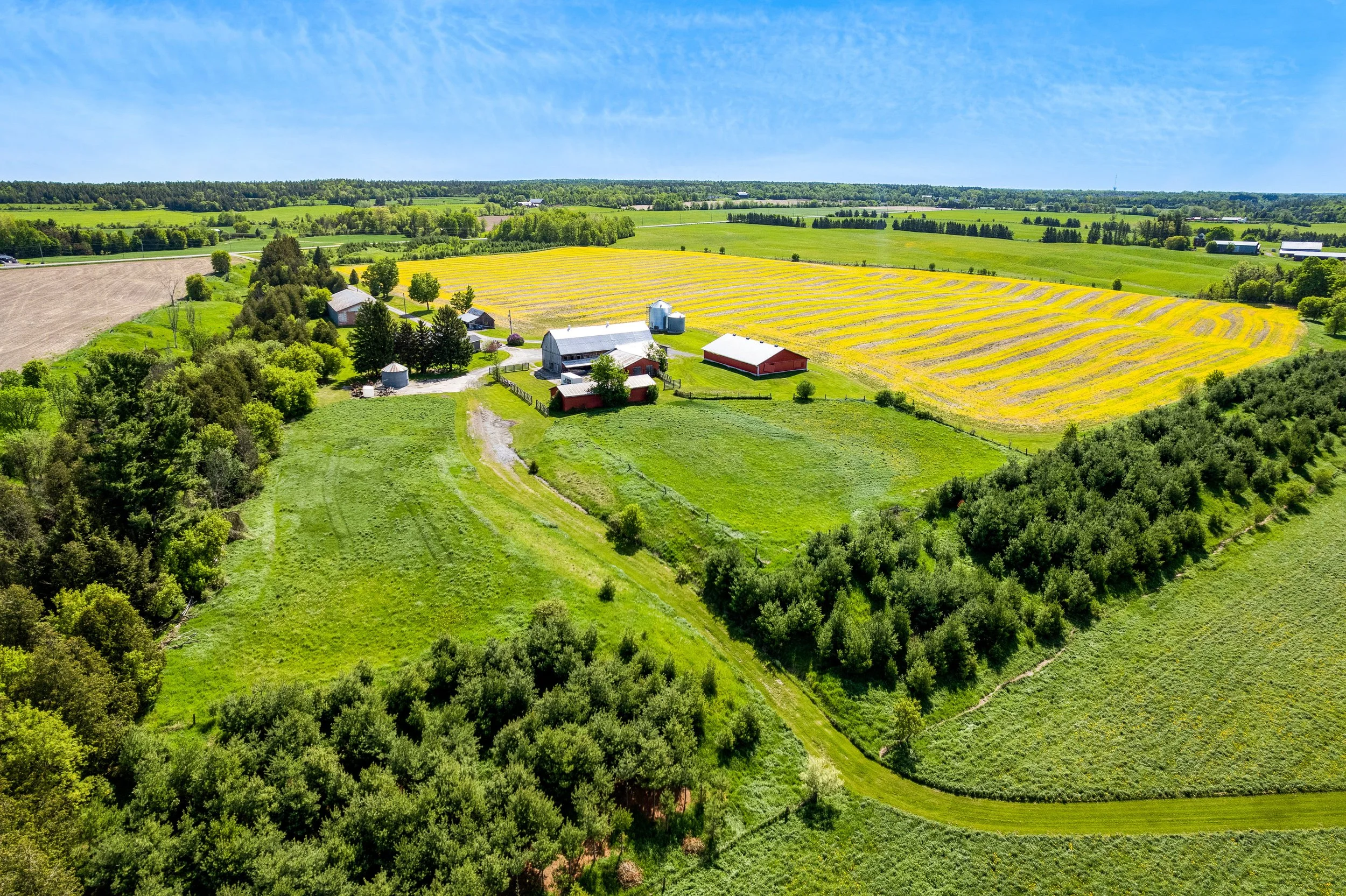 DJI_0131.JPG