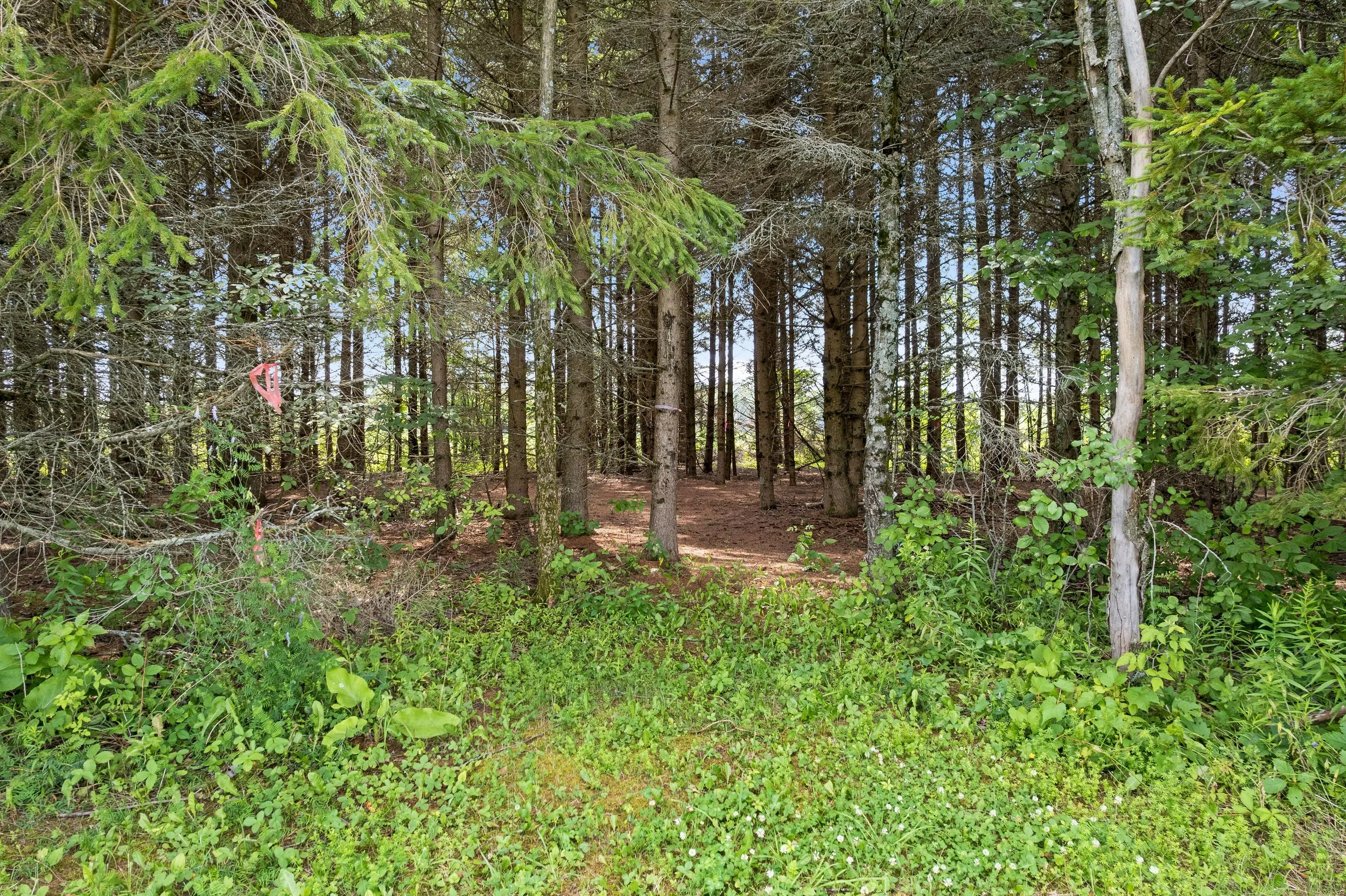 DJI_0140.JPG