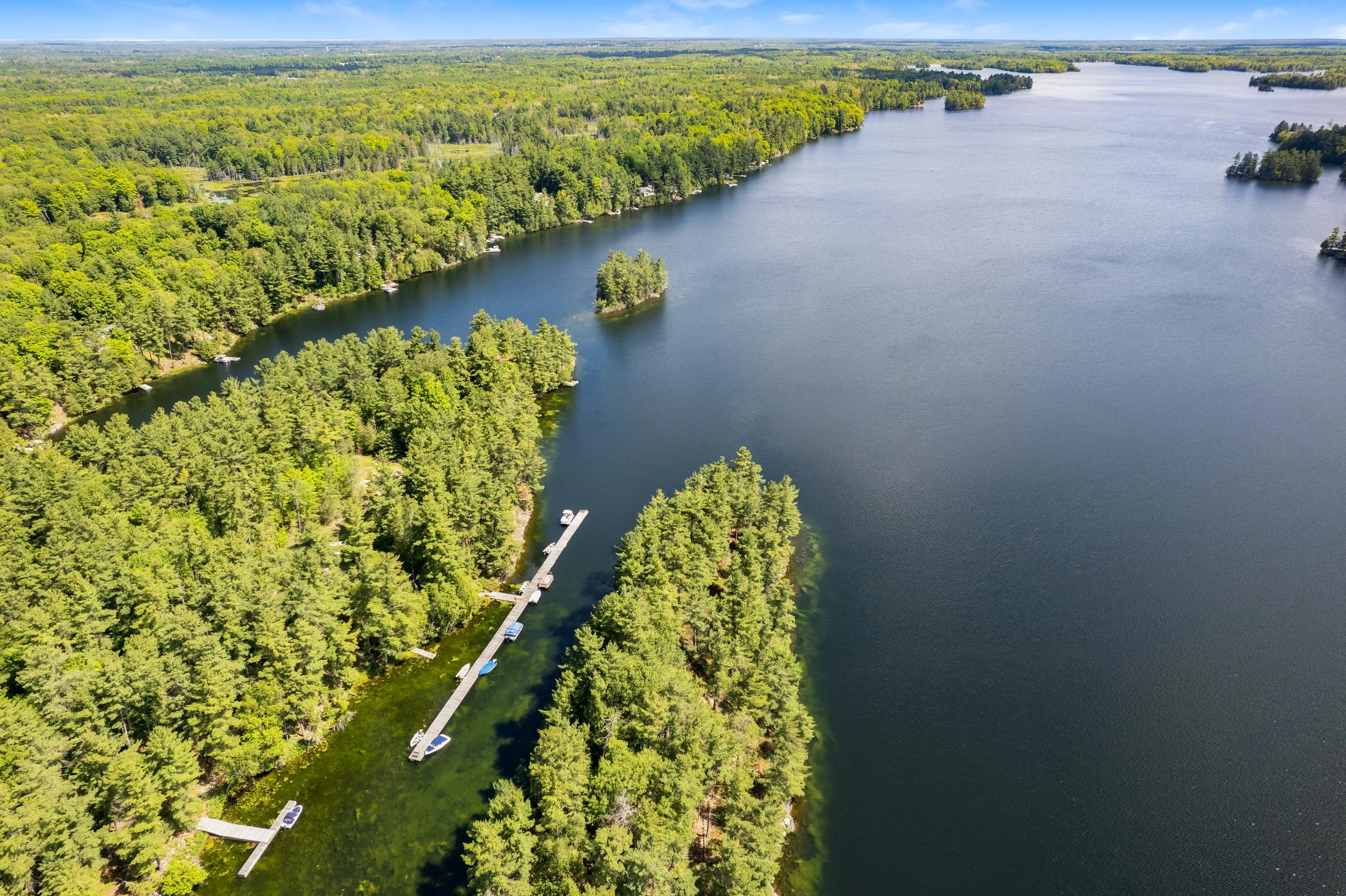869 McLaren Rd - aerial -0001.jpg
