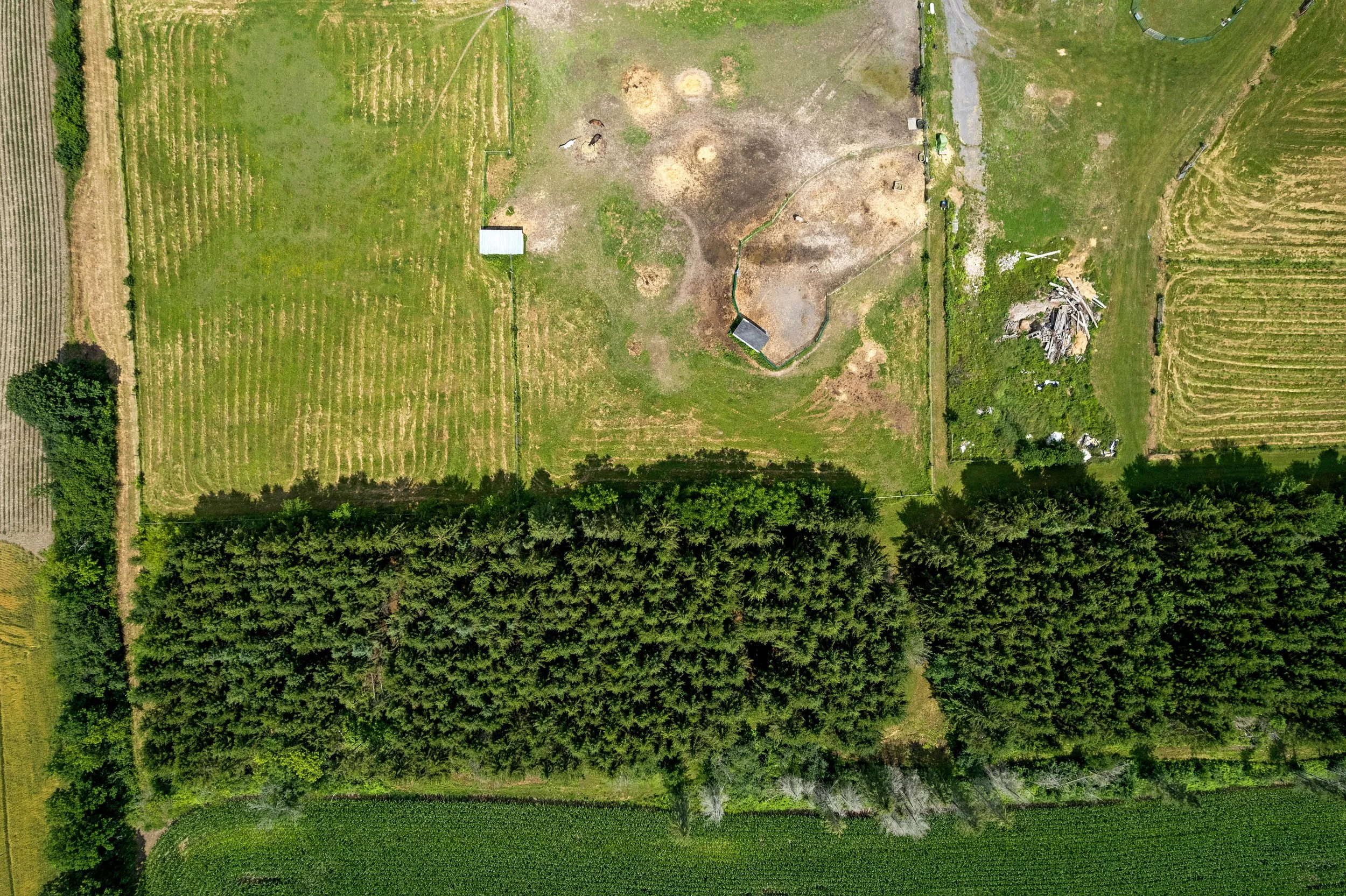 DJI_0071.JPG
