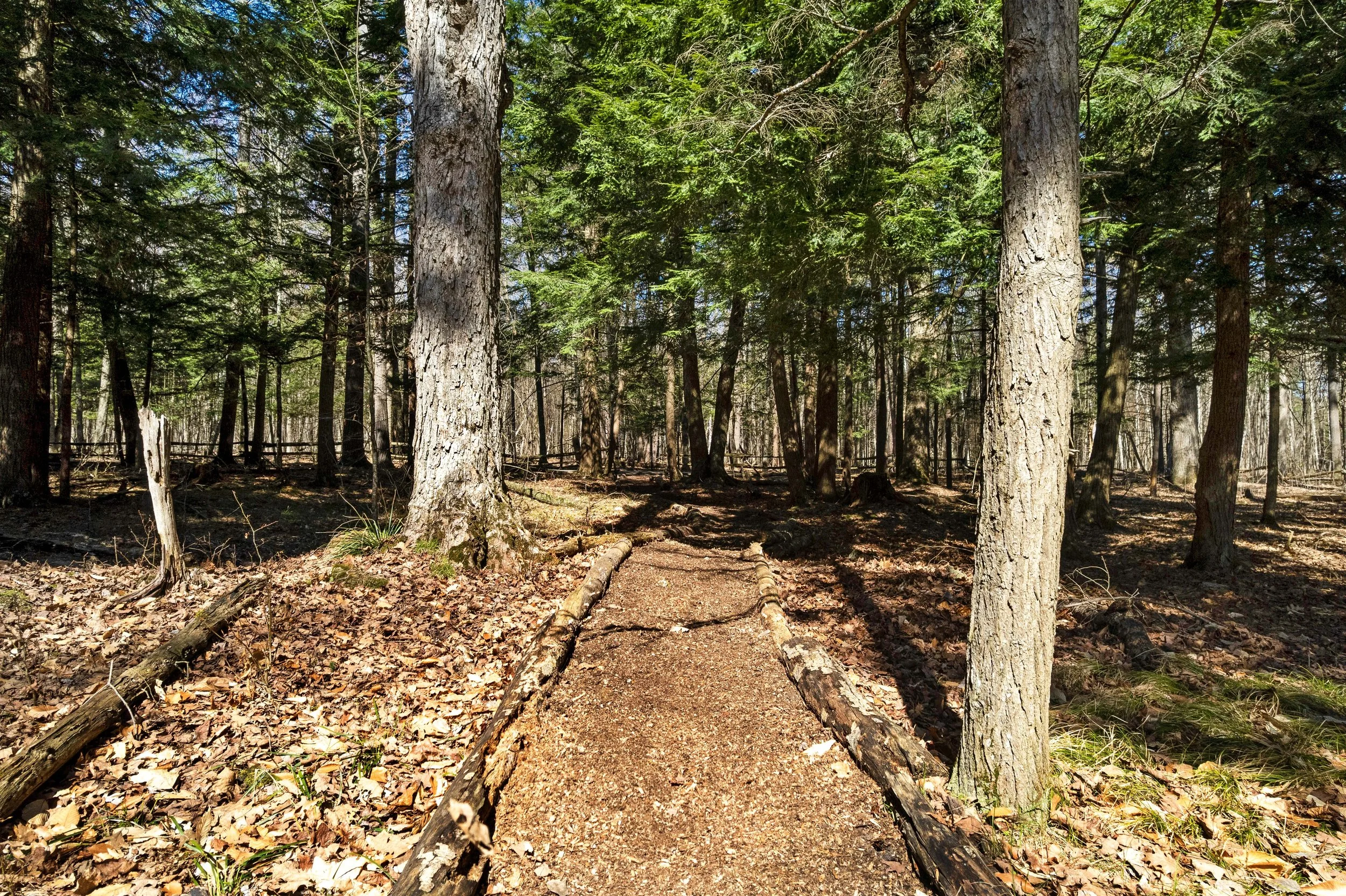 DJI_0143.JPG