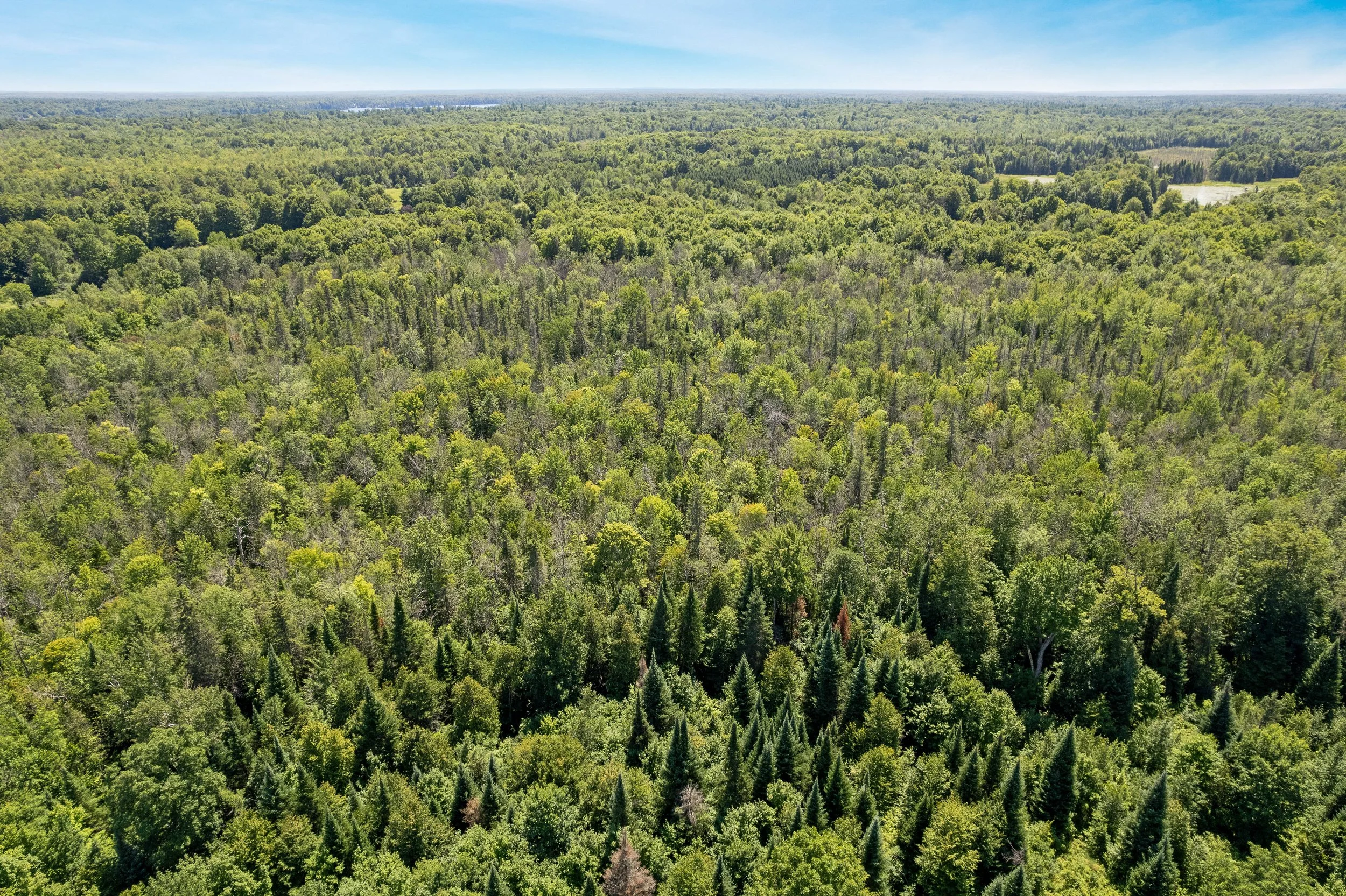 DJI_0365.JPG