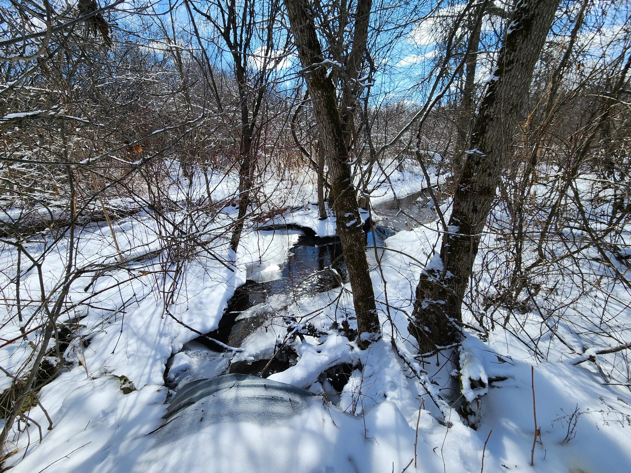 20260323_114802.jpg