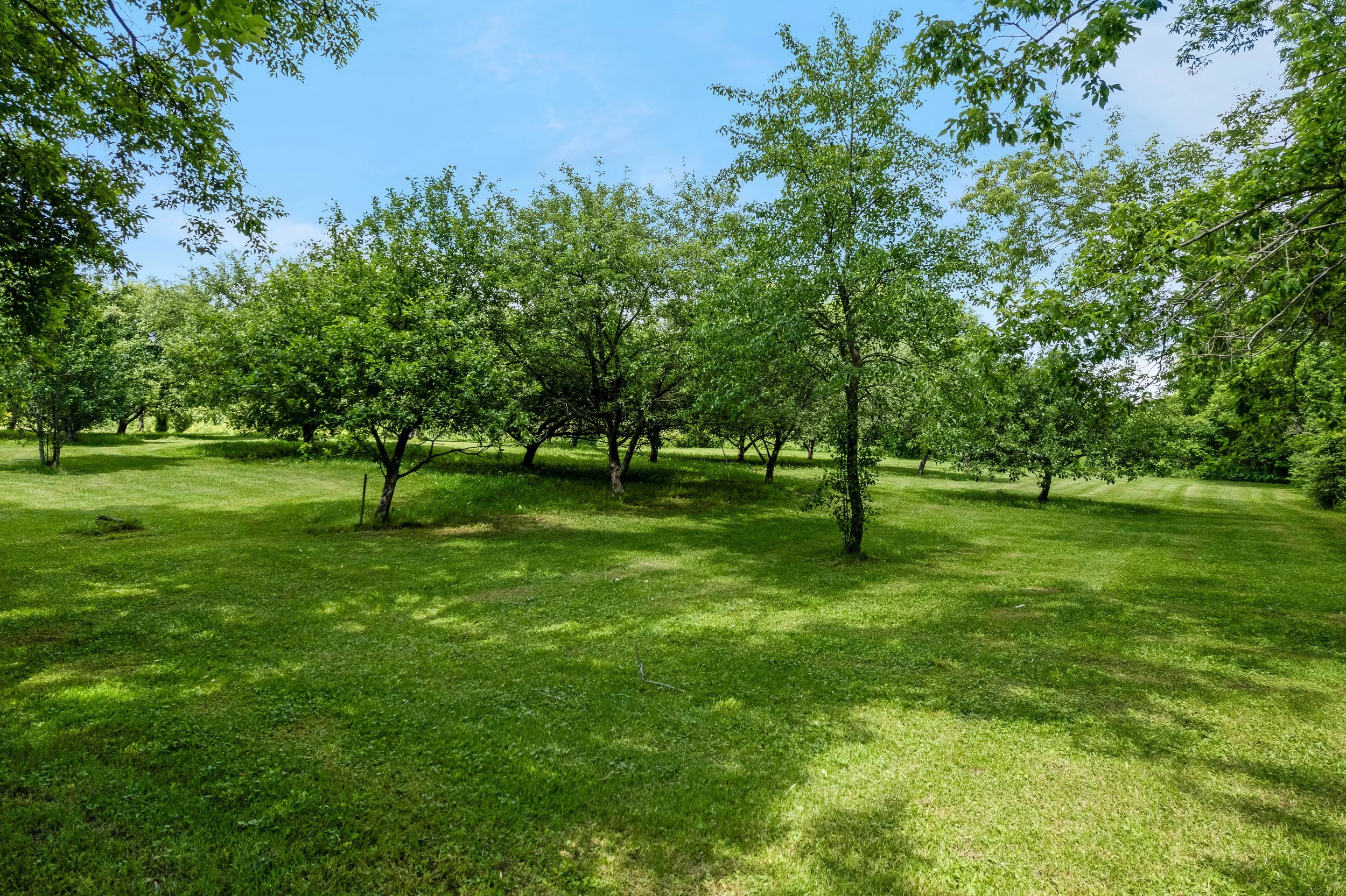 DJI_0741.JPG
