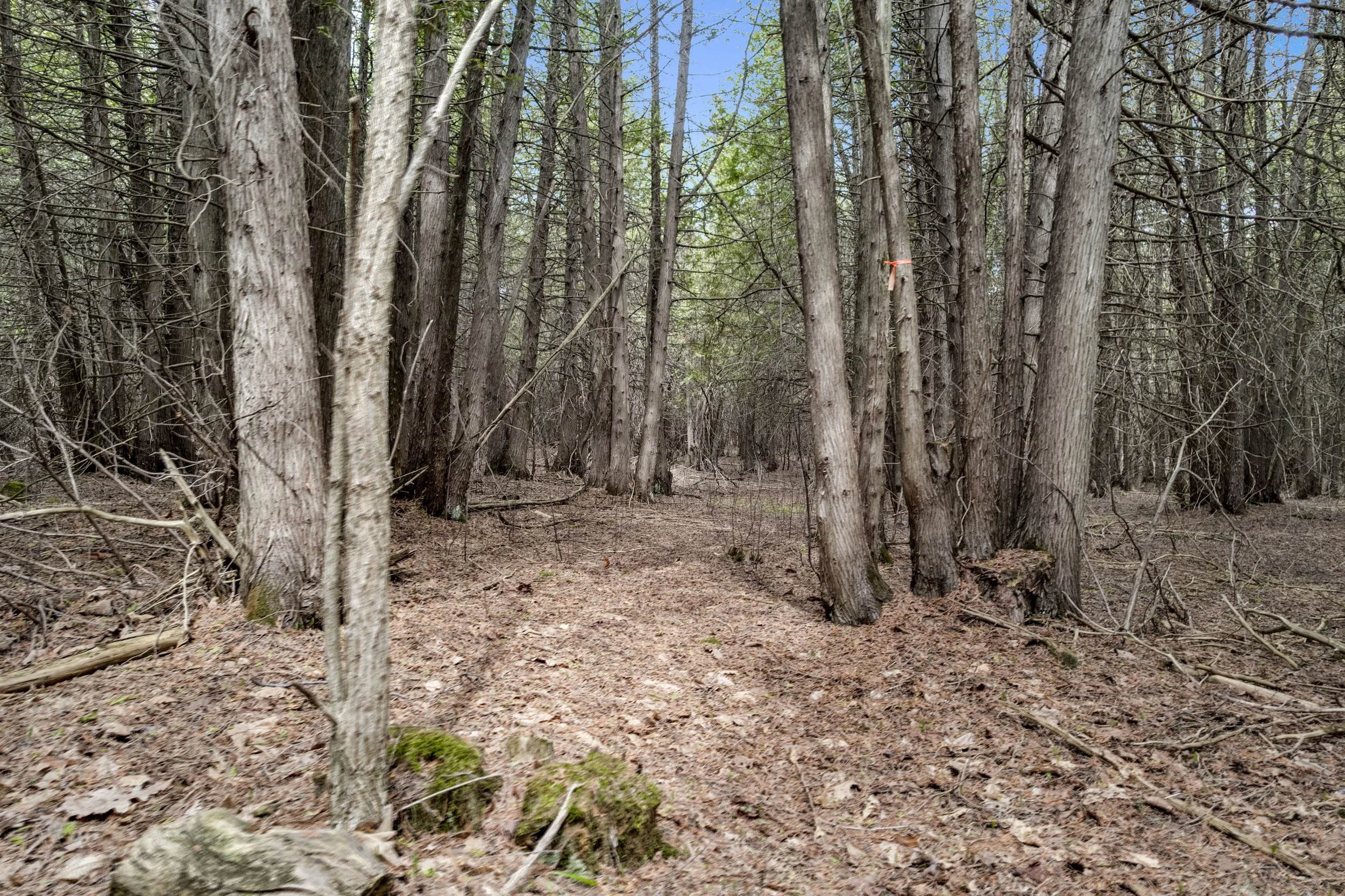 g dji_0144-dji_0148.JPG
