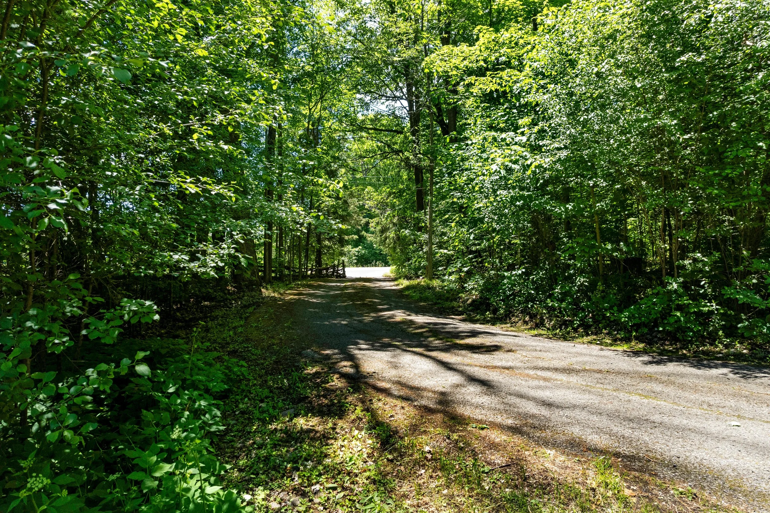 DJI_0038.JPG