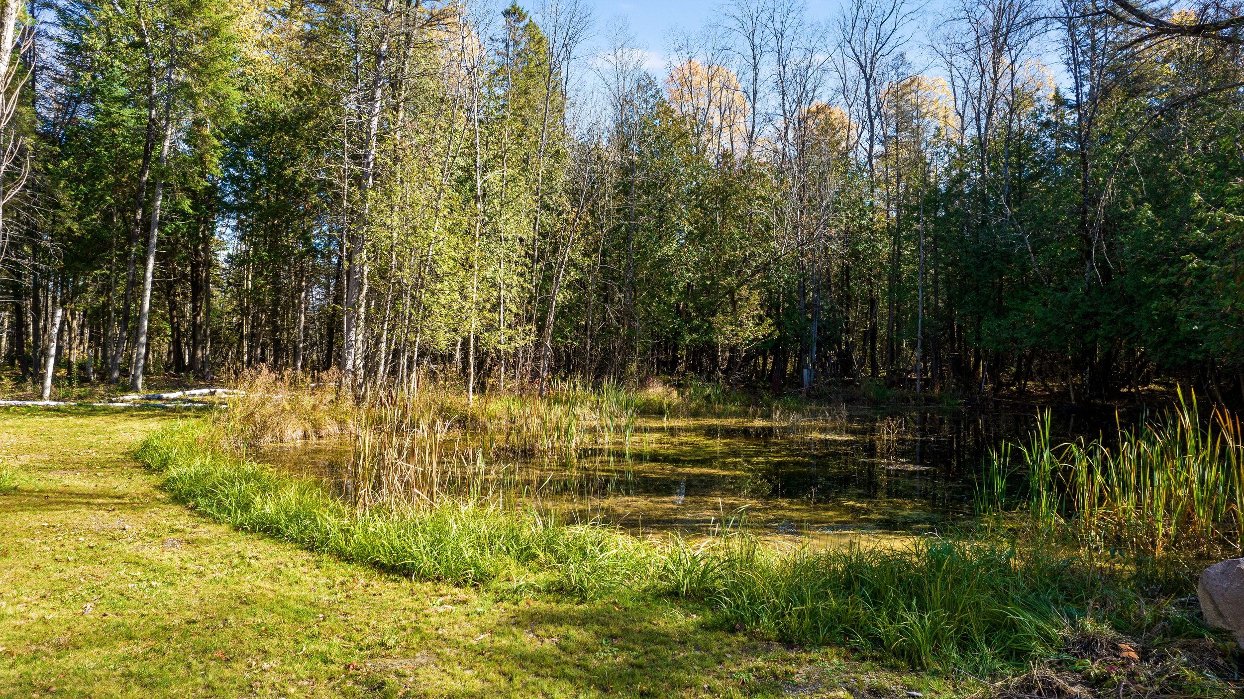 DJI_0308.JPG