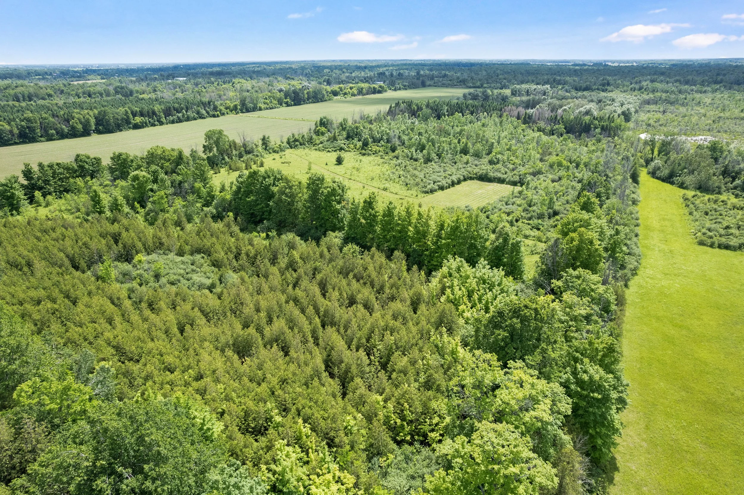DJI_0024.JPG