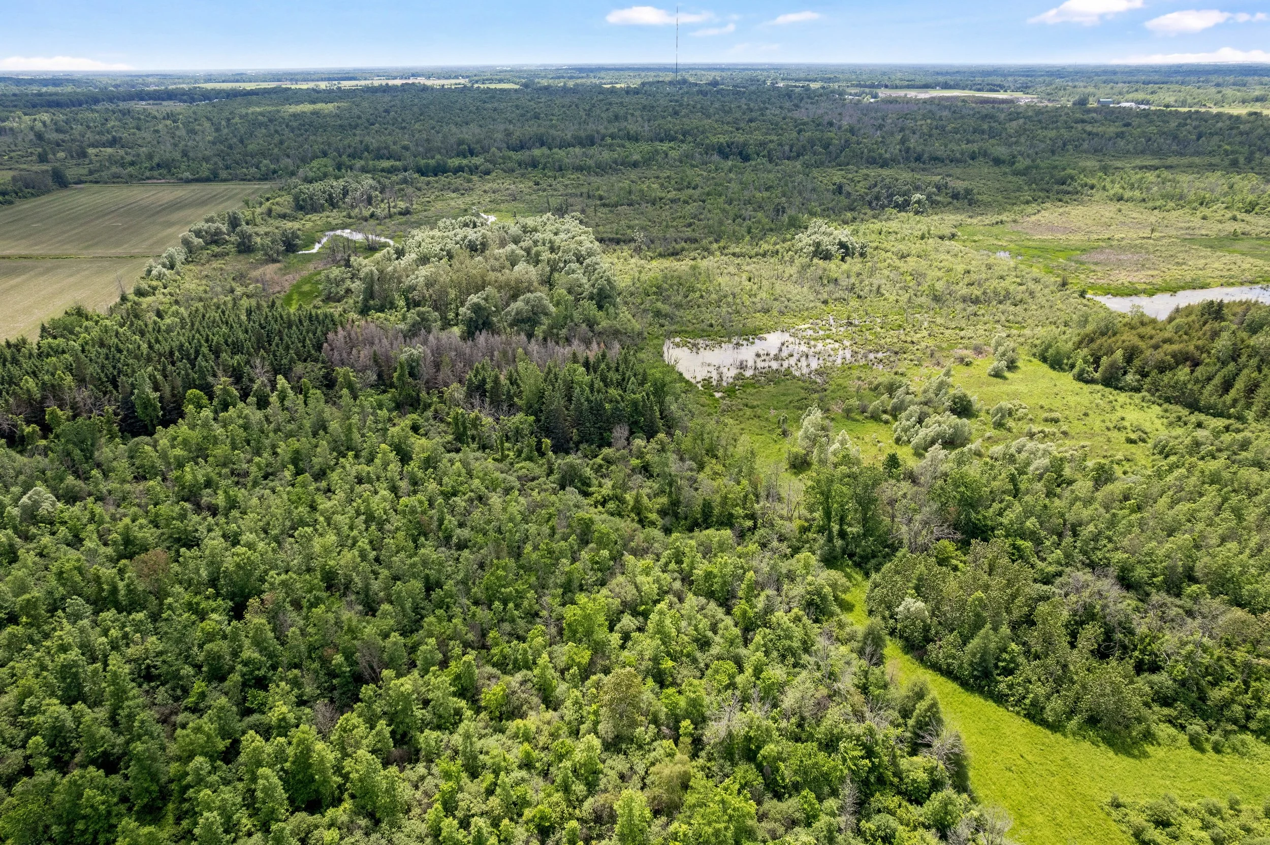DJI_0034.JPG