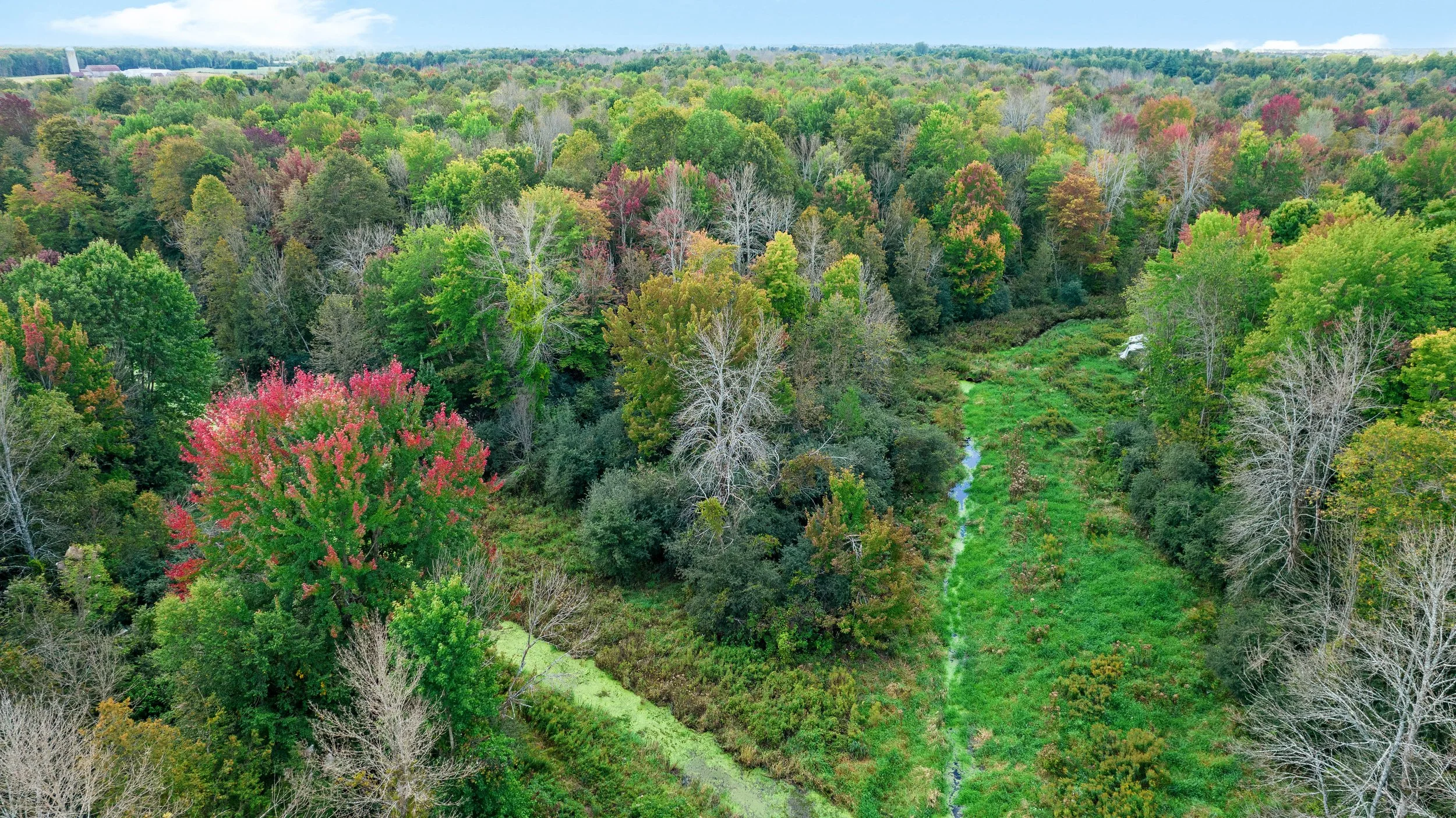 DJI_0068.JPG