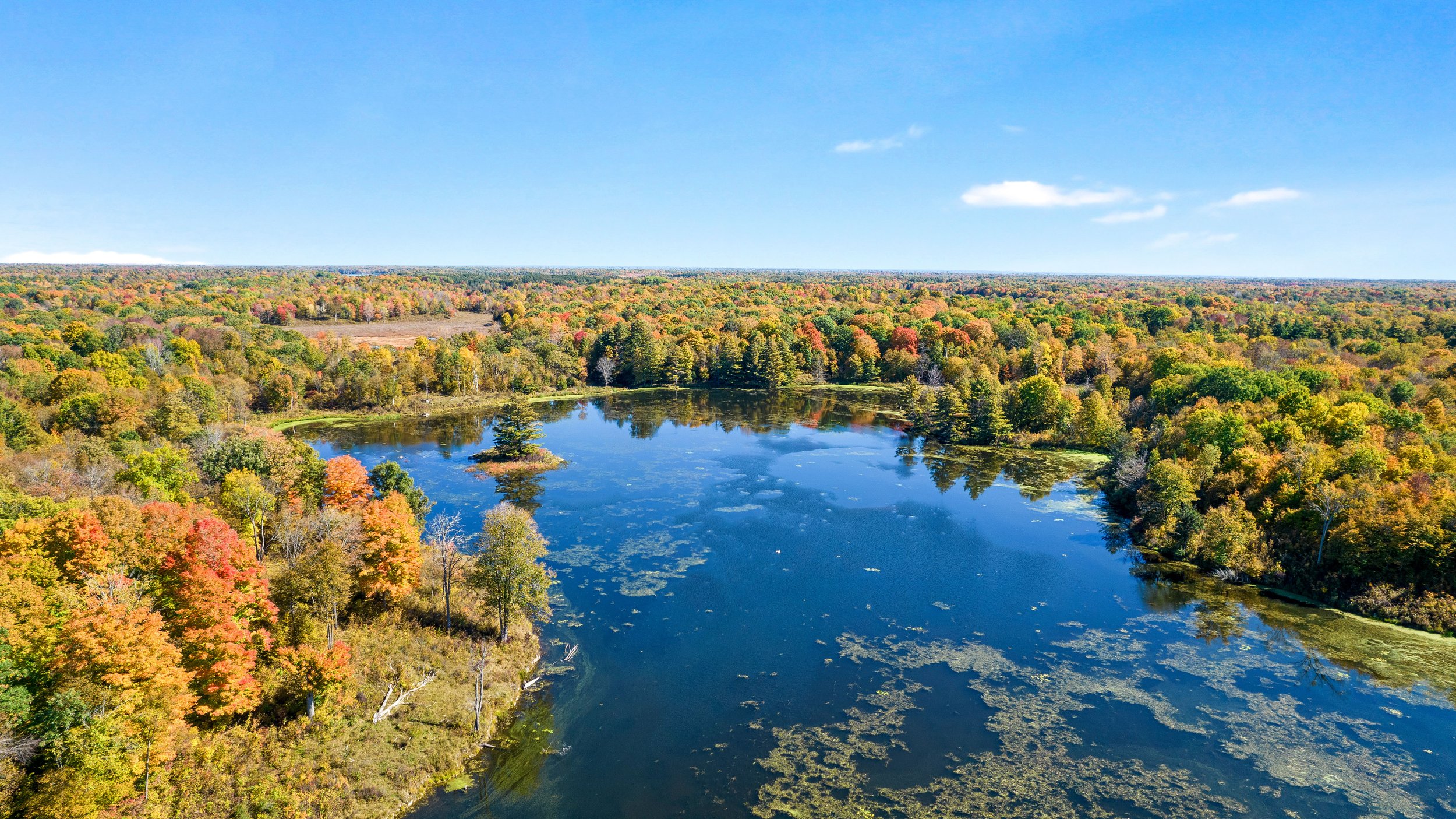DJI_0278.JPG