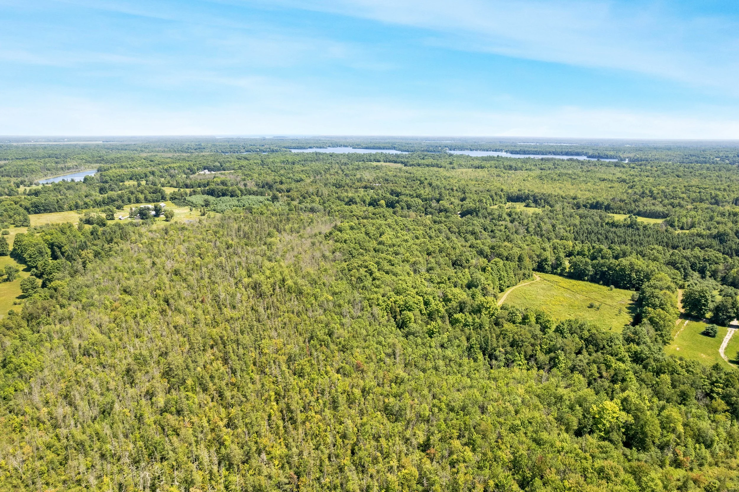 DJI_0380.JPG