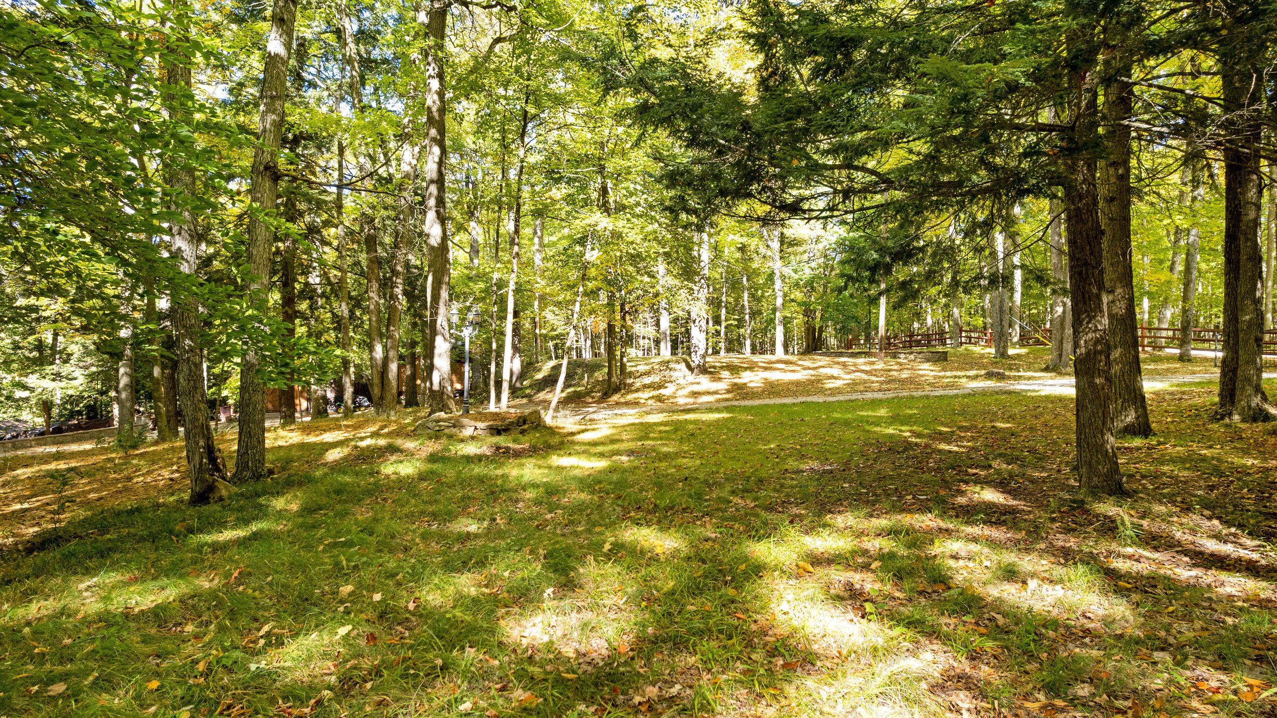DJI_0288.JPG