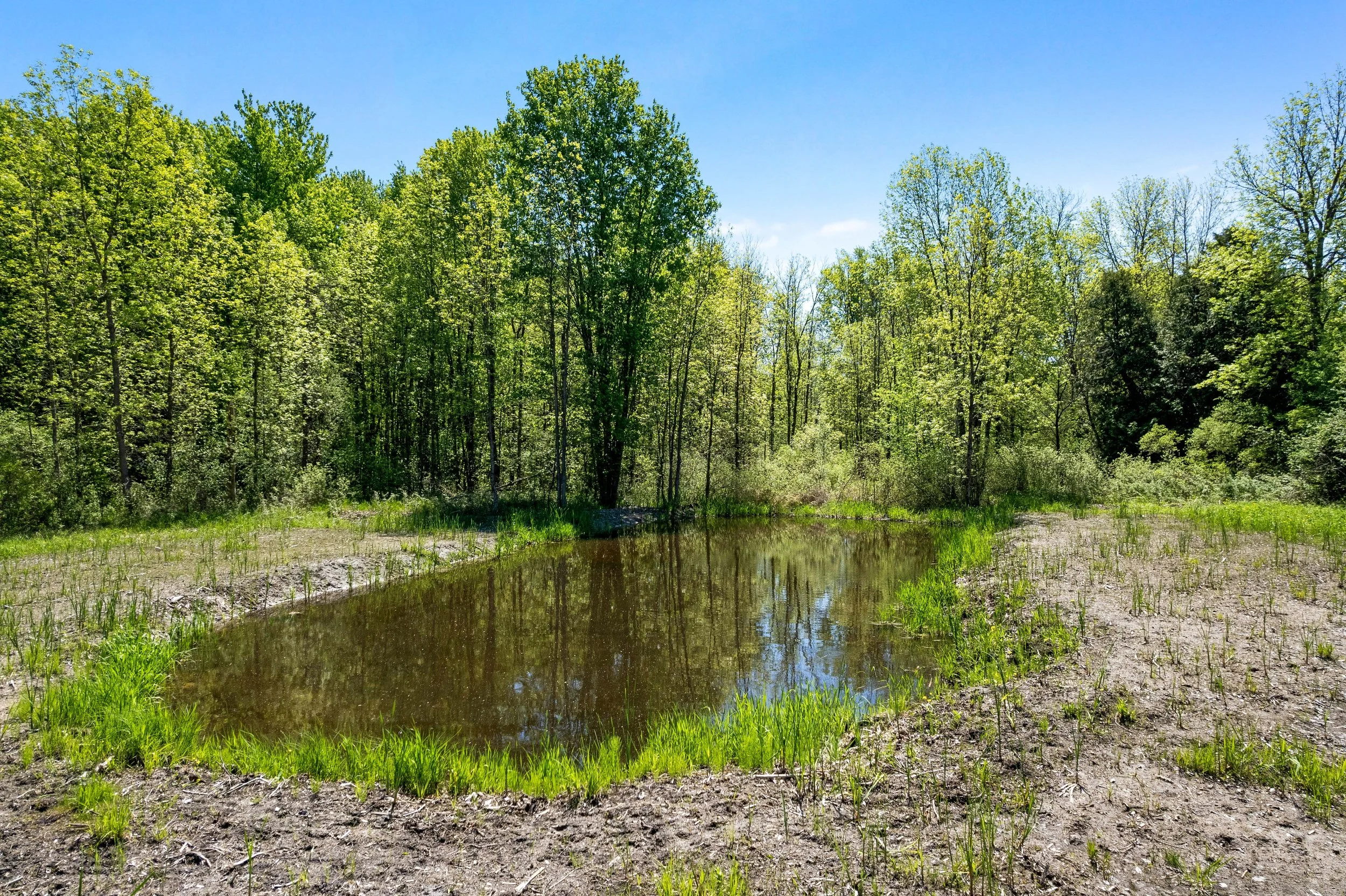 DJI_0211.JPG
