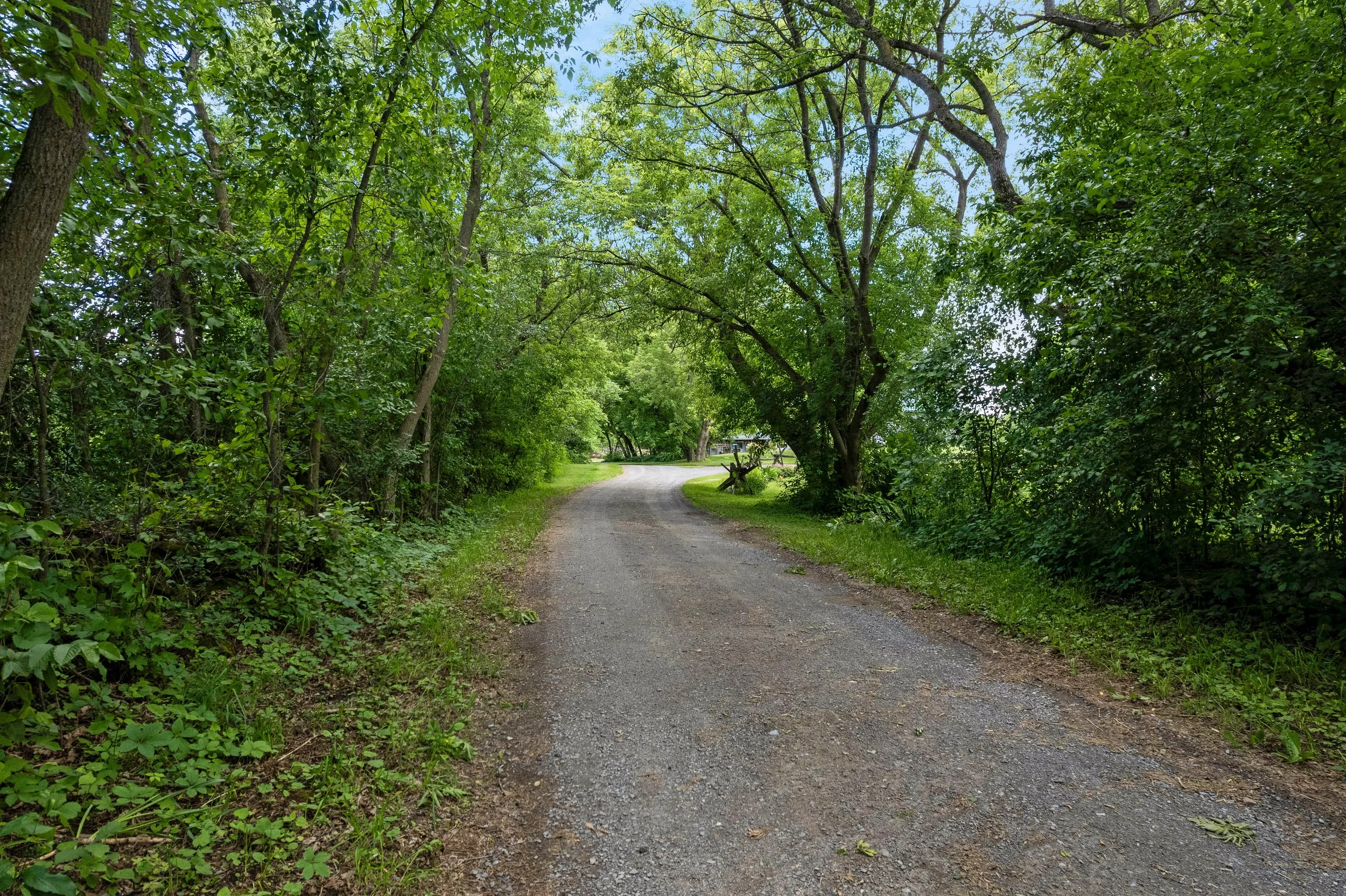 DJI_0656.JPG