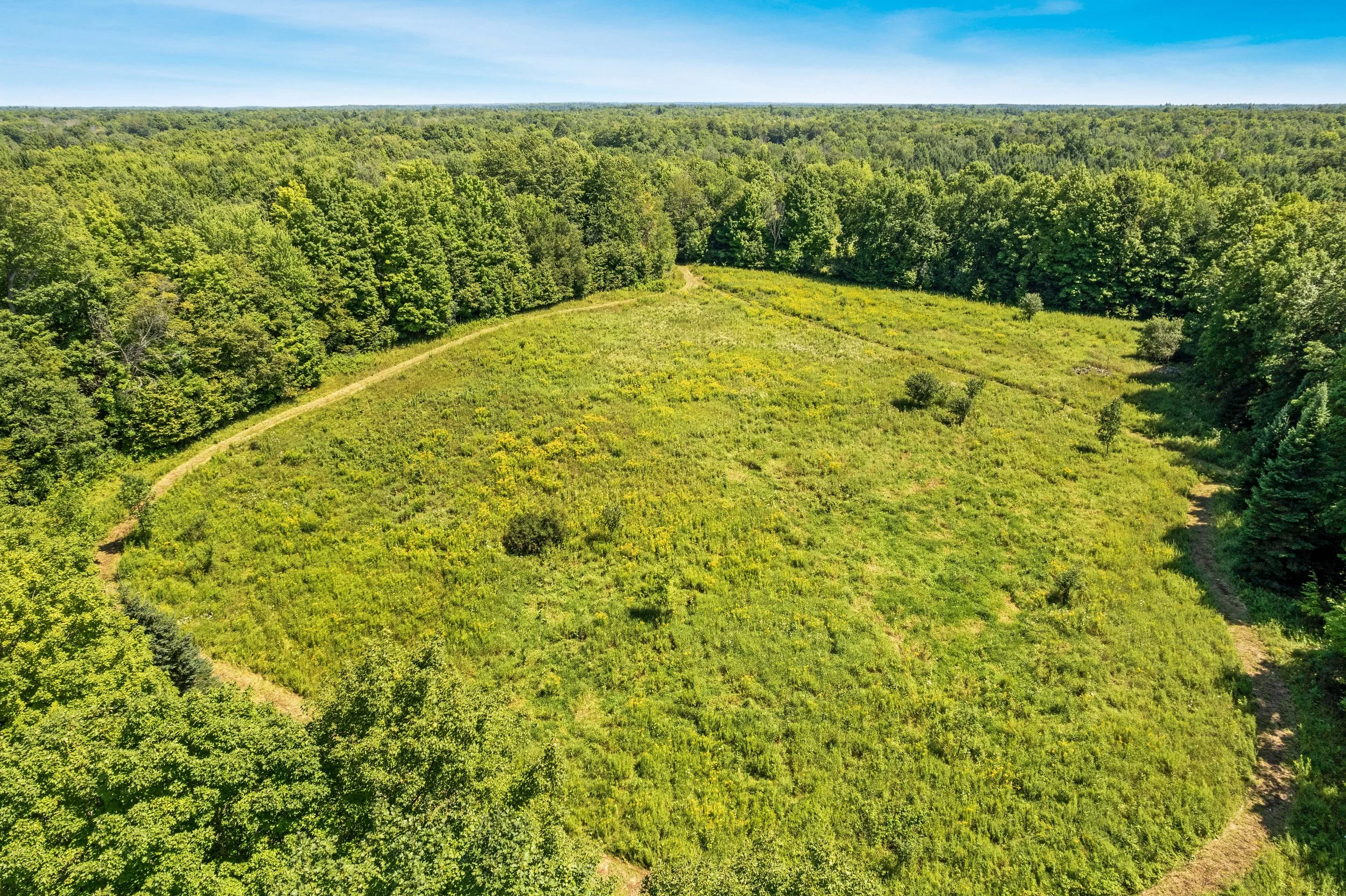 DJI_0390.JPG