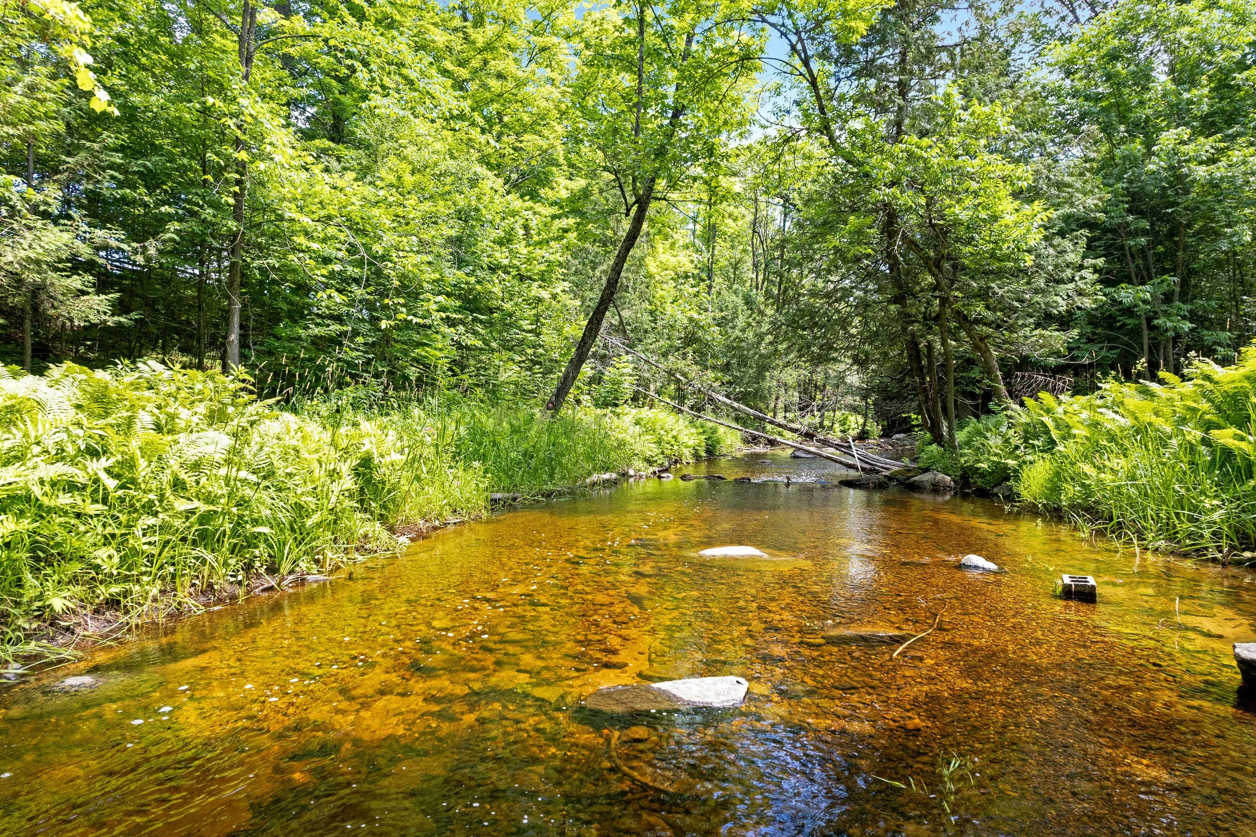 DJI_0168.JPG