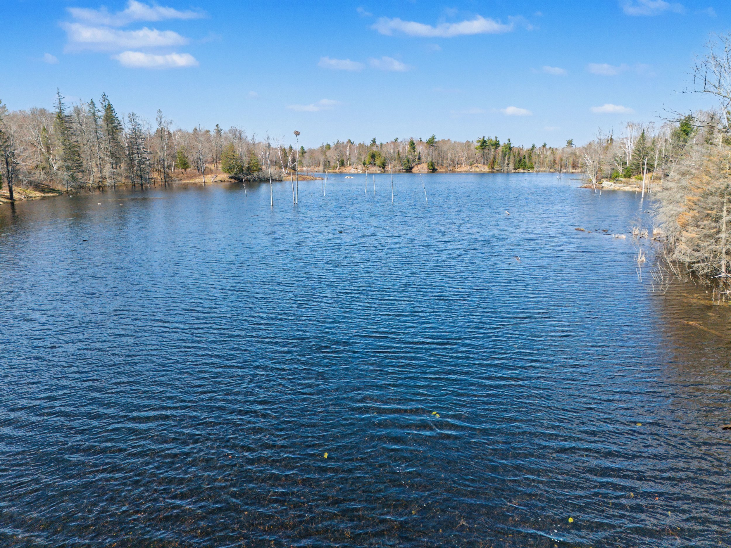 010_file_3591.jpg