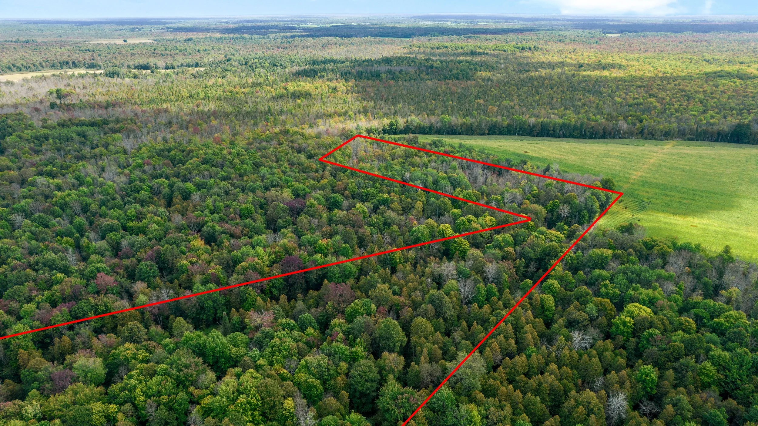 DJI_0033 line.JPG