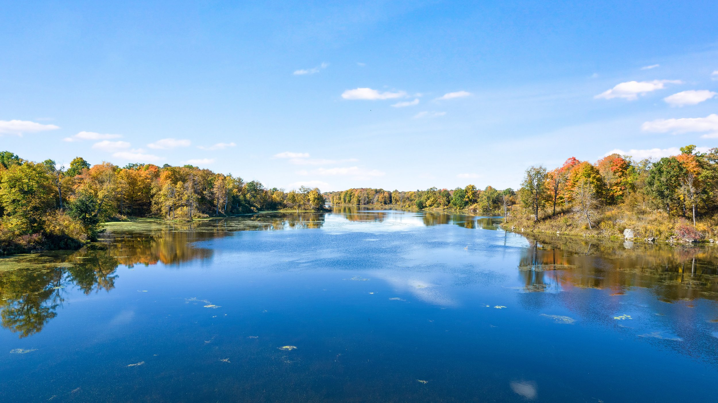 DJI_0268.JPG