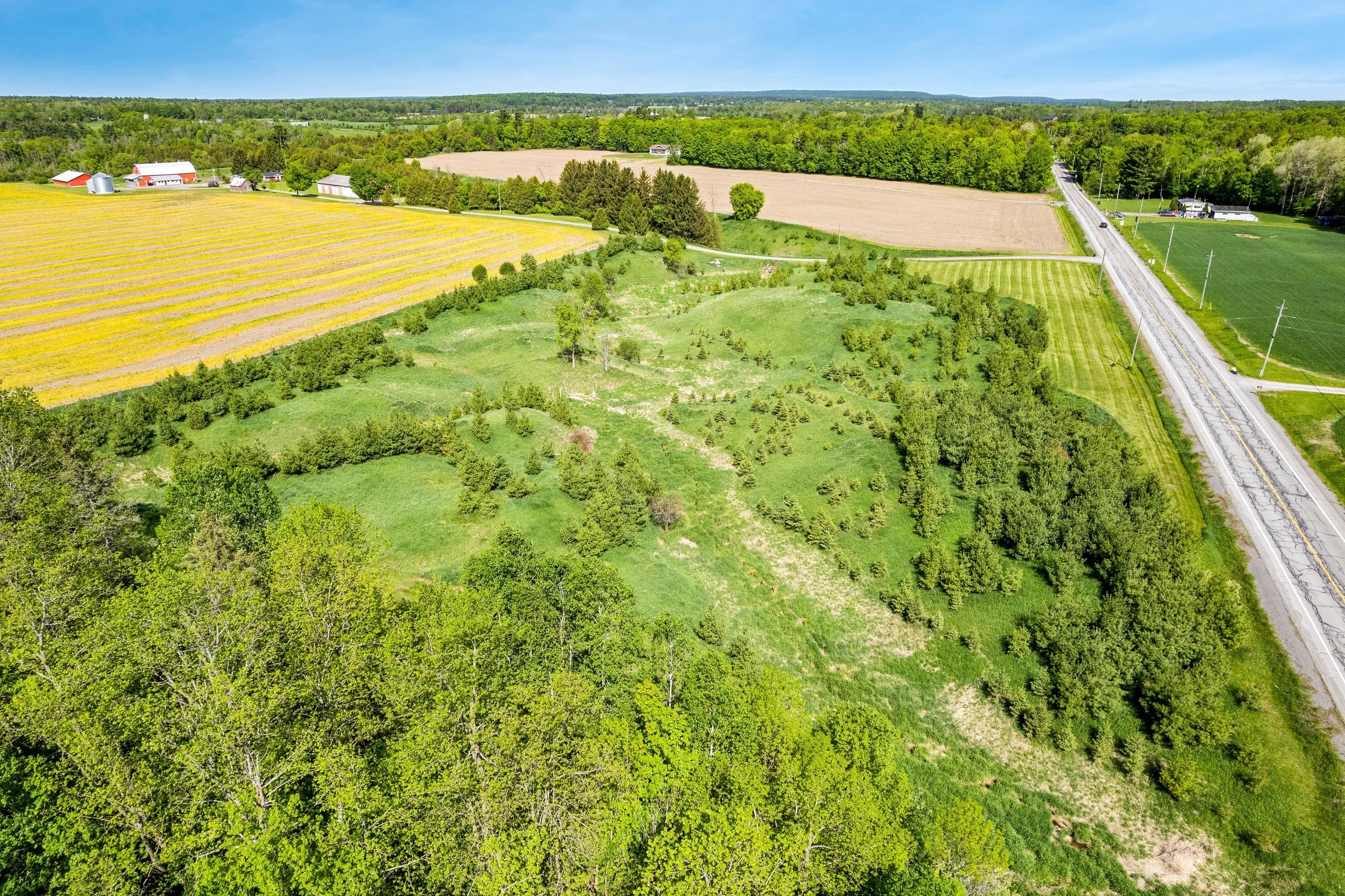 DJI_0011.JPG