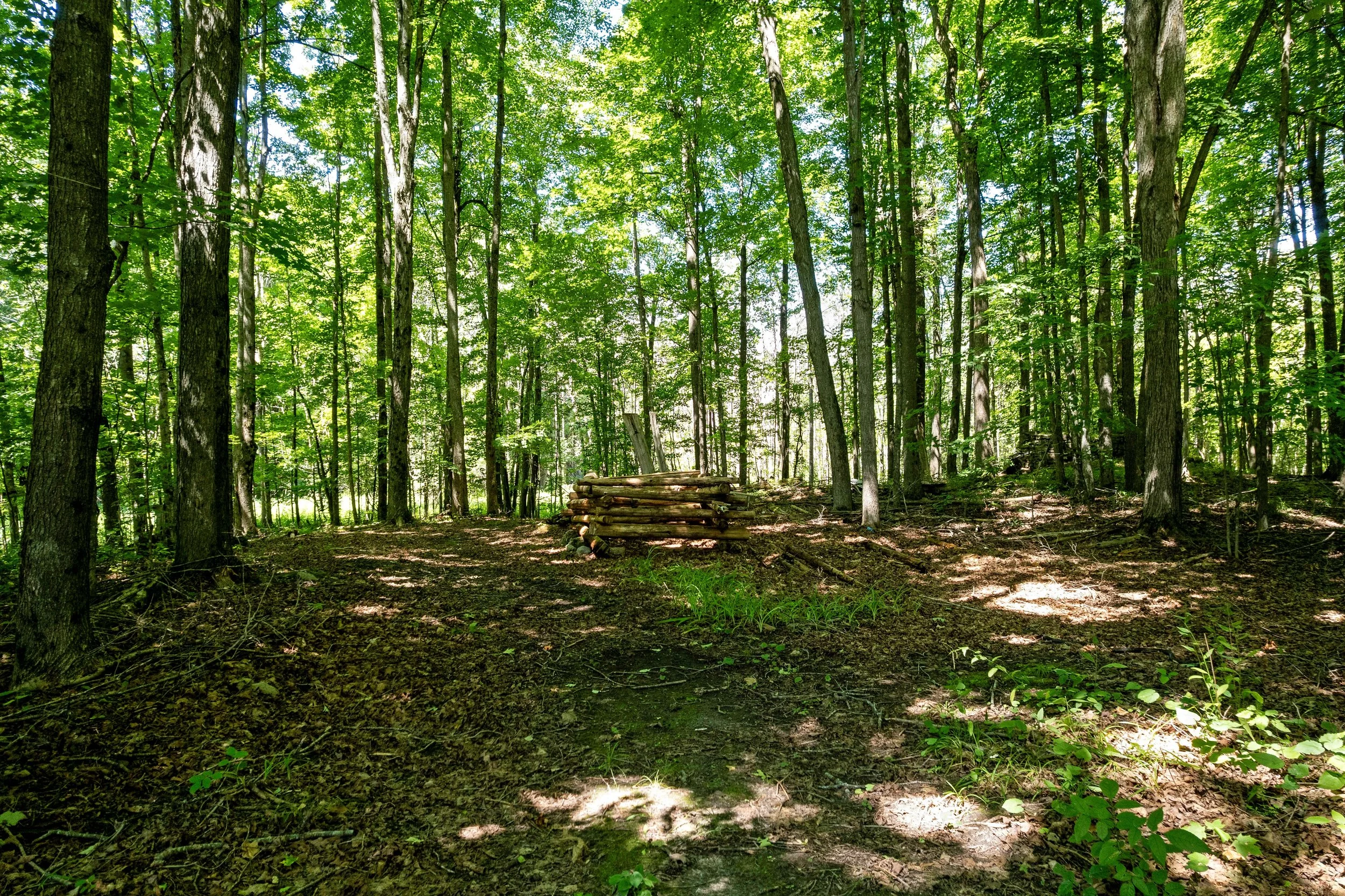 DJI_0053.JPG