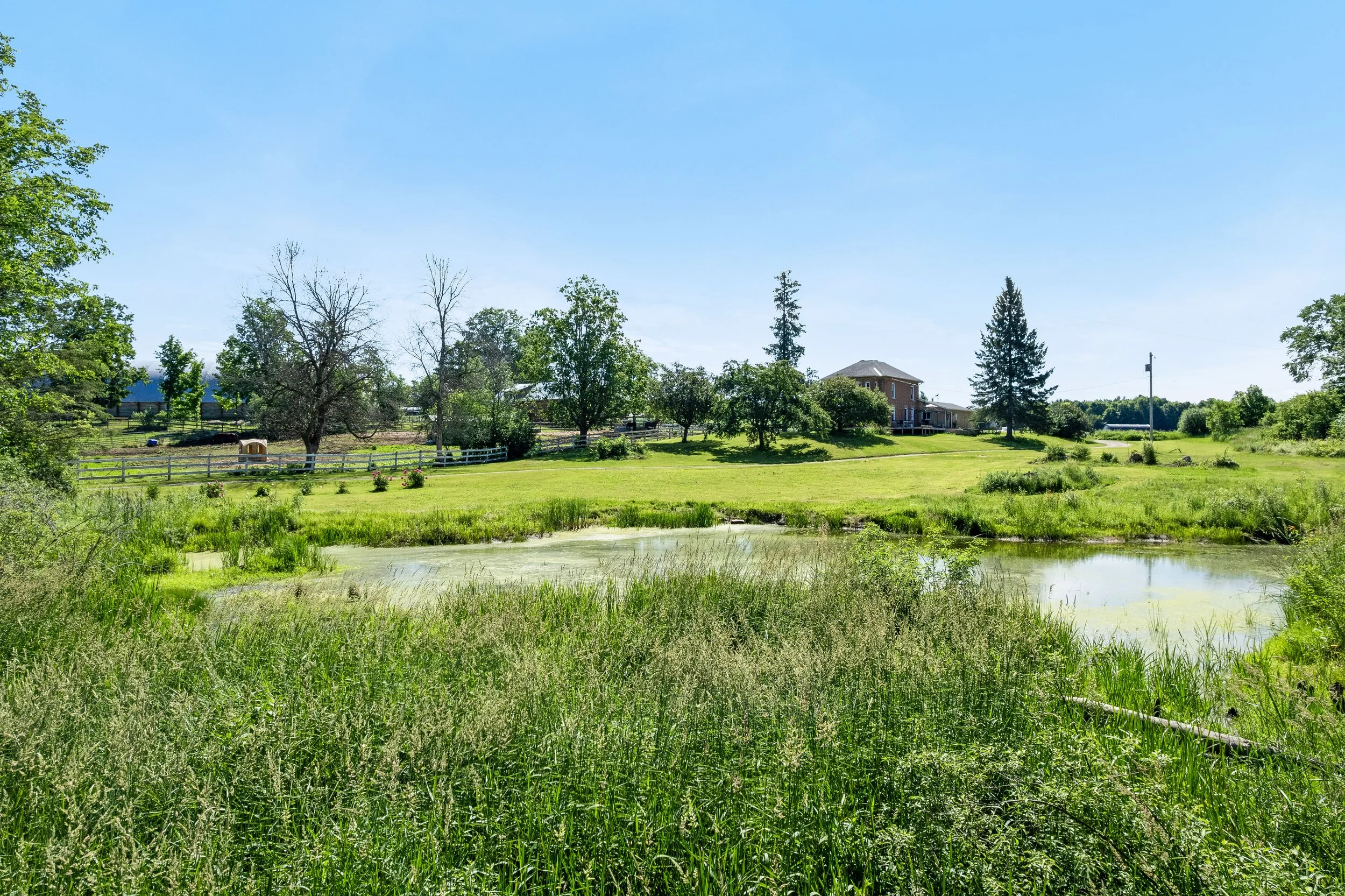 DJI_0036.JPG